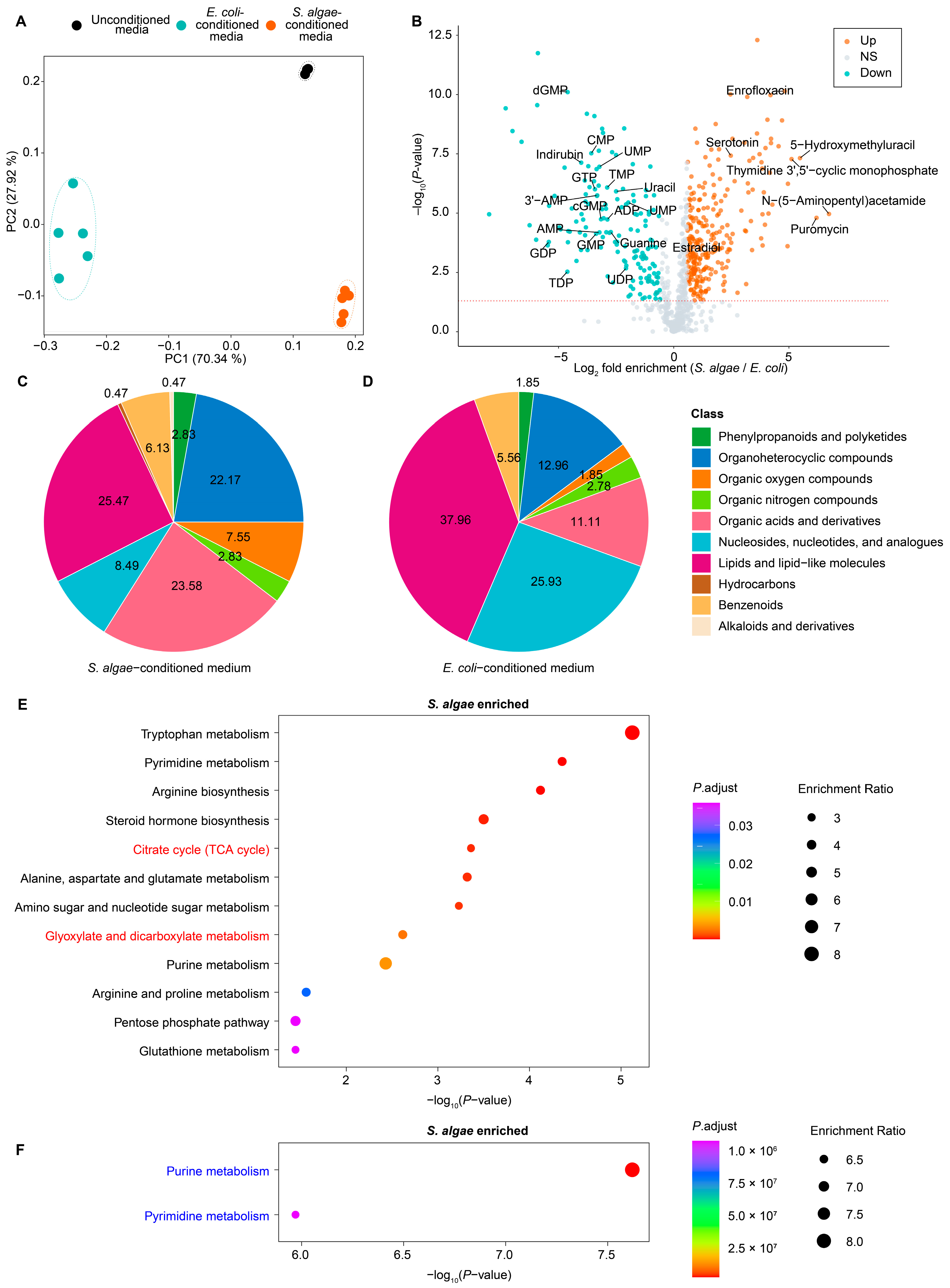 Ijms 25 09111 g006 Ijms 25 09111 g006
