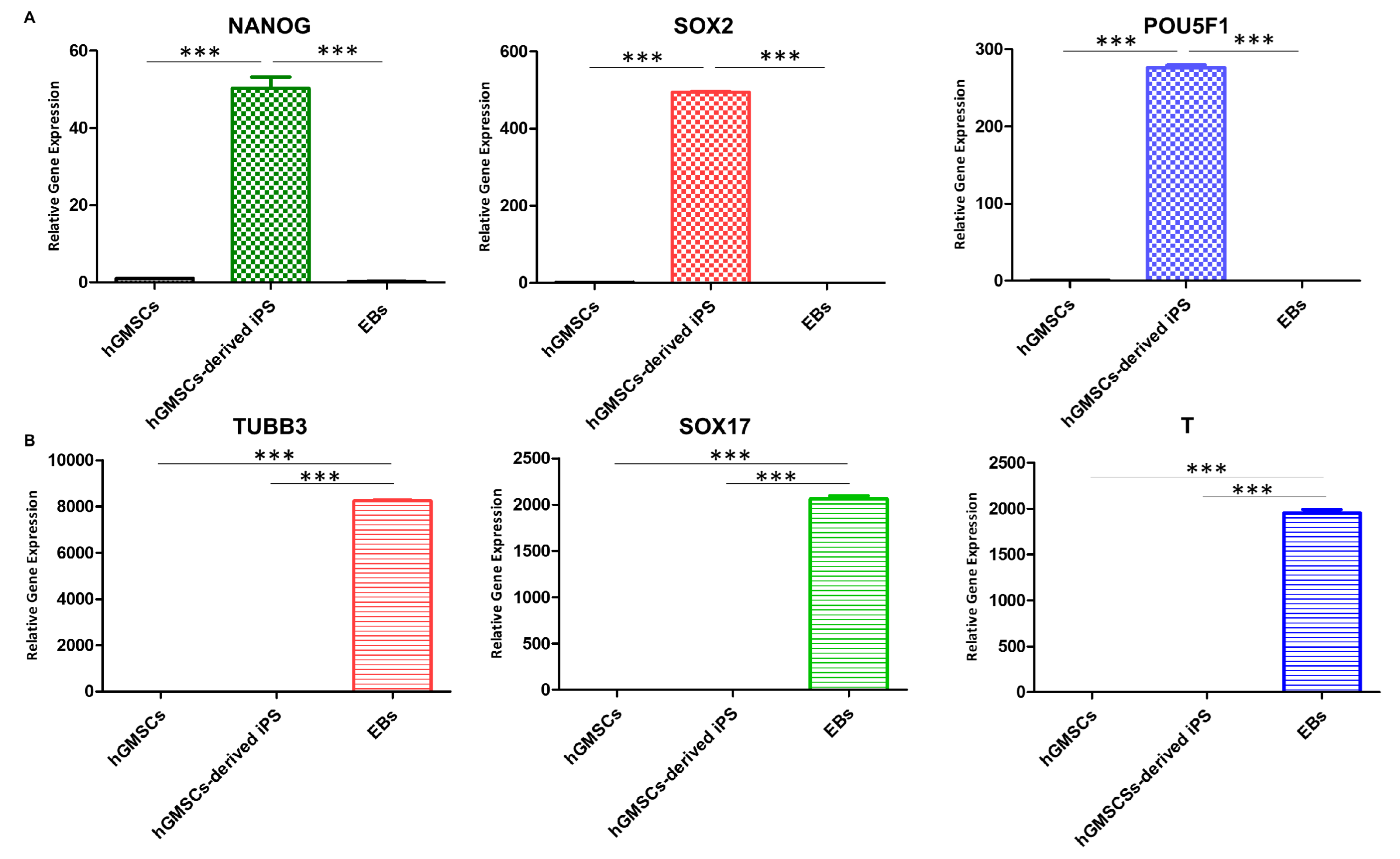 Ijms 25 09169 g004 Ijms 25 09169 g004