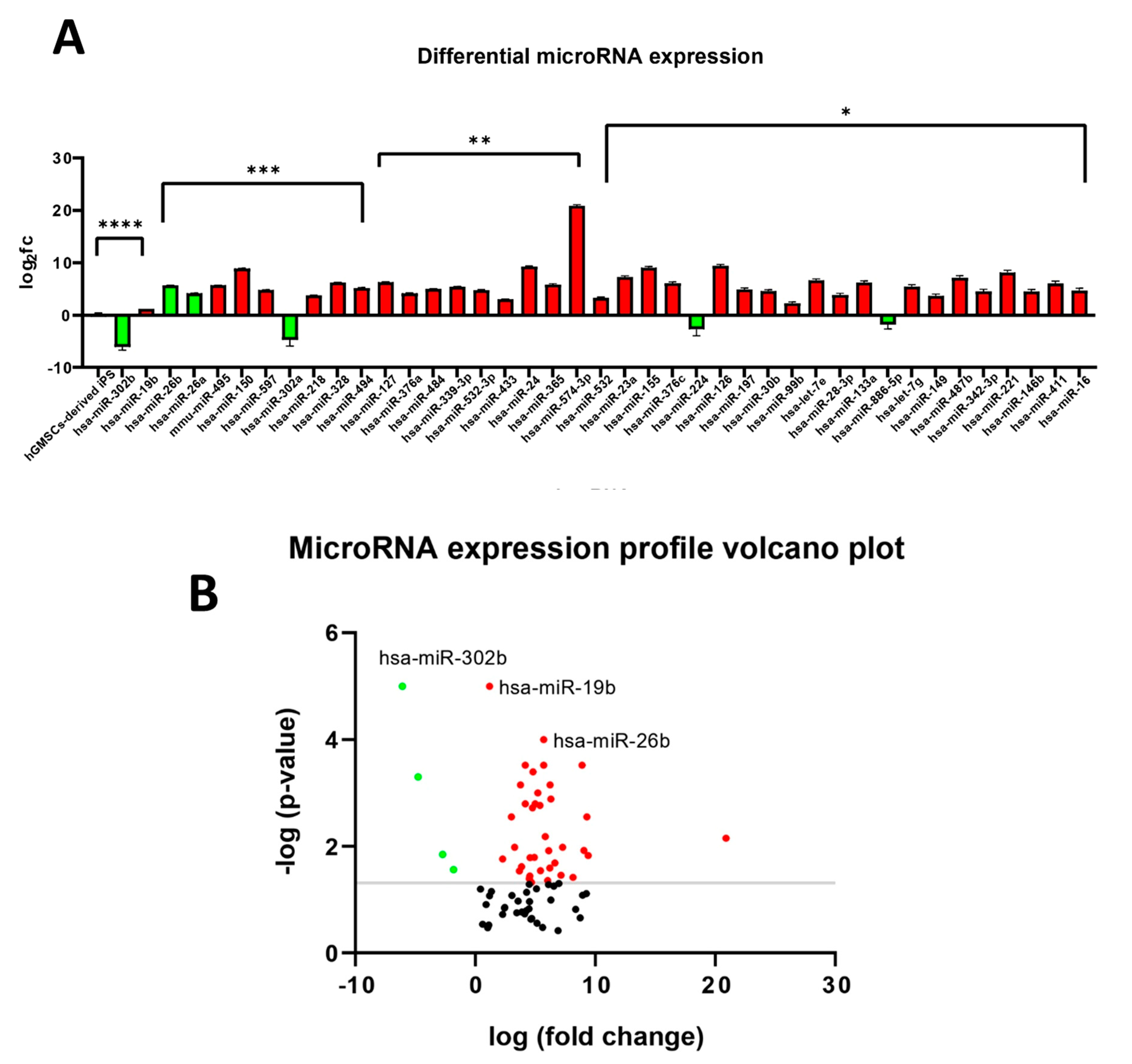 Ijms 25 09169 g007a Ijms 25 09169 g007a