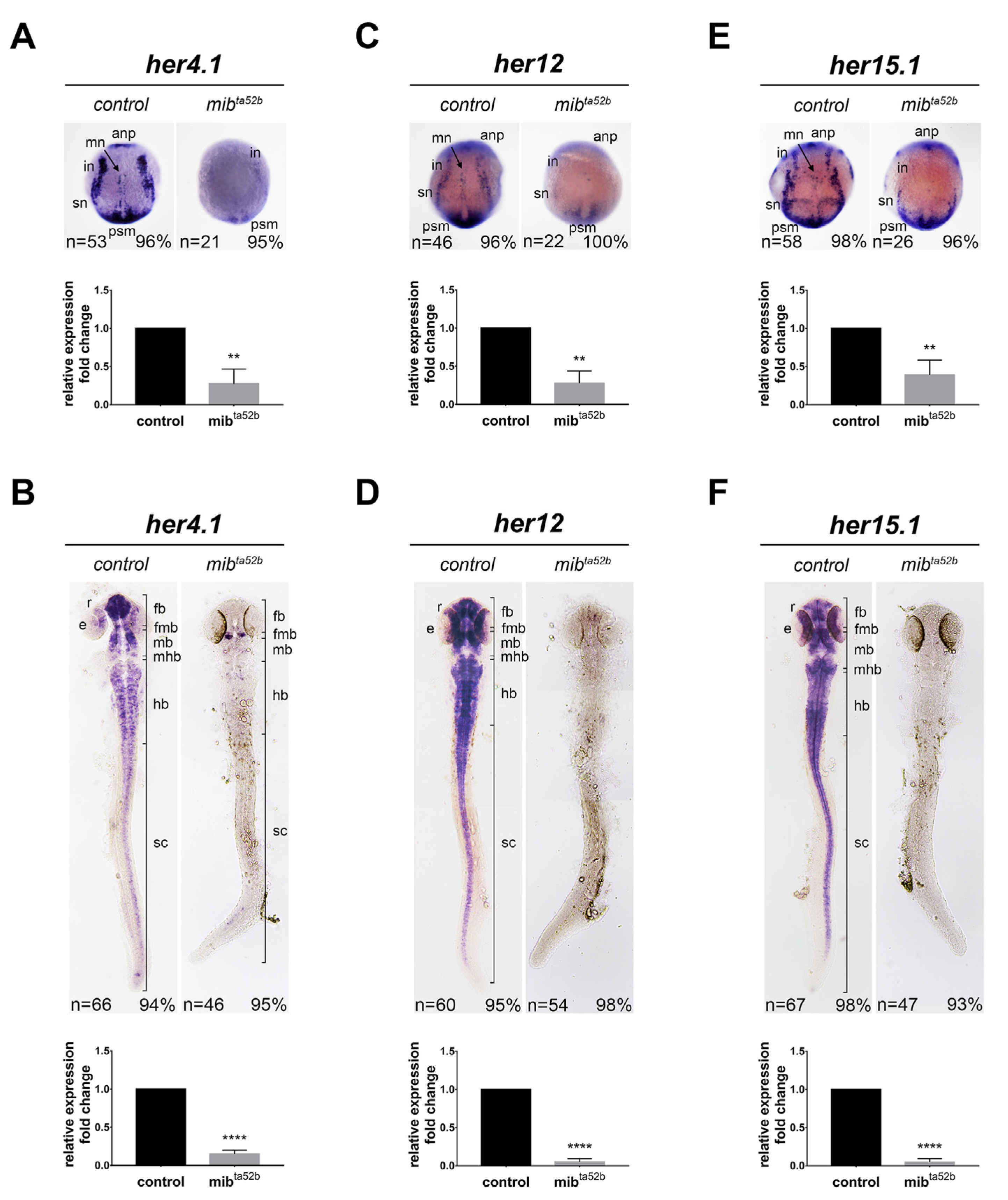 Ijms 25 09174 g003 Ijms 25 09174 g003
