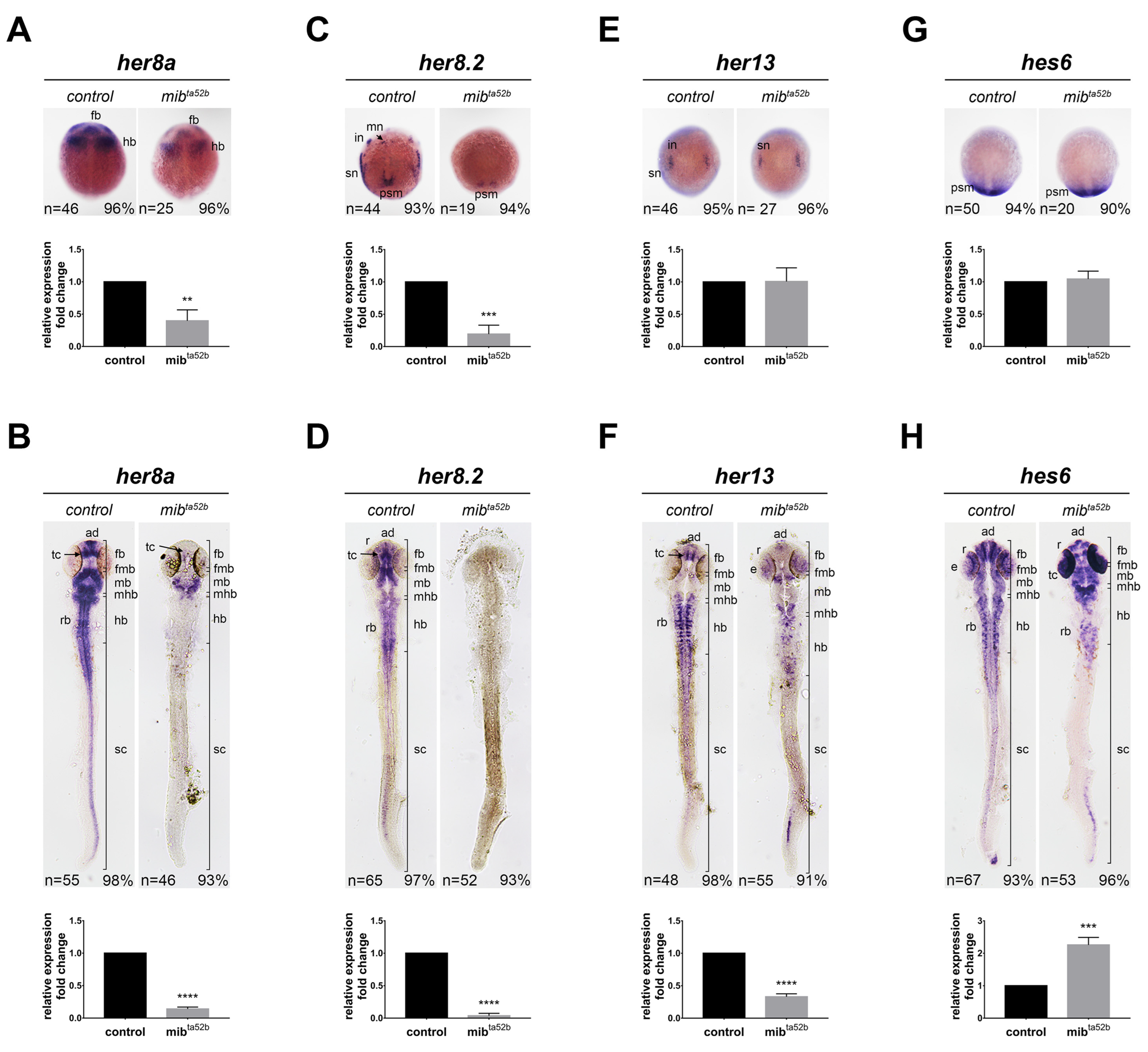 Ijms 25 09174 g004 Ijms 25 09174 g004