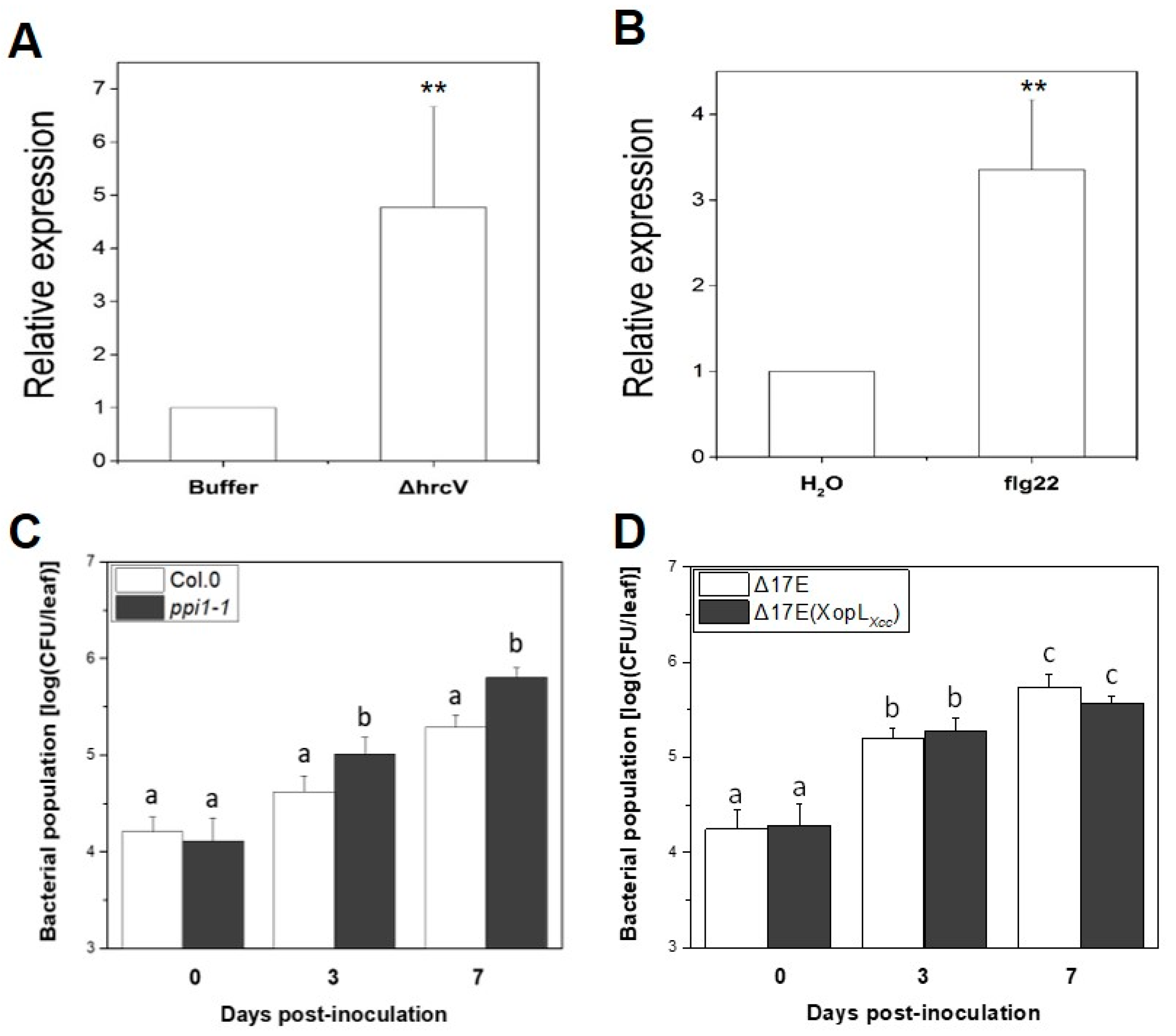 Ijms 25 09175 g005 Ijms 25 09175 g005