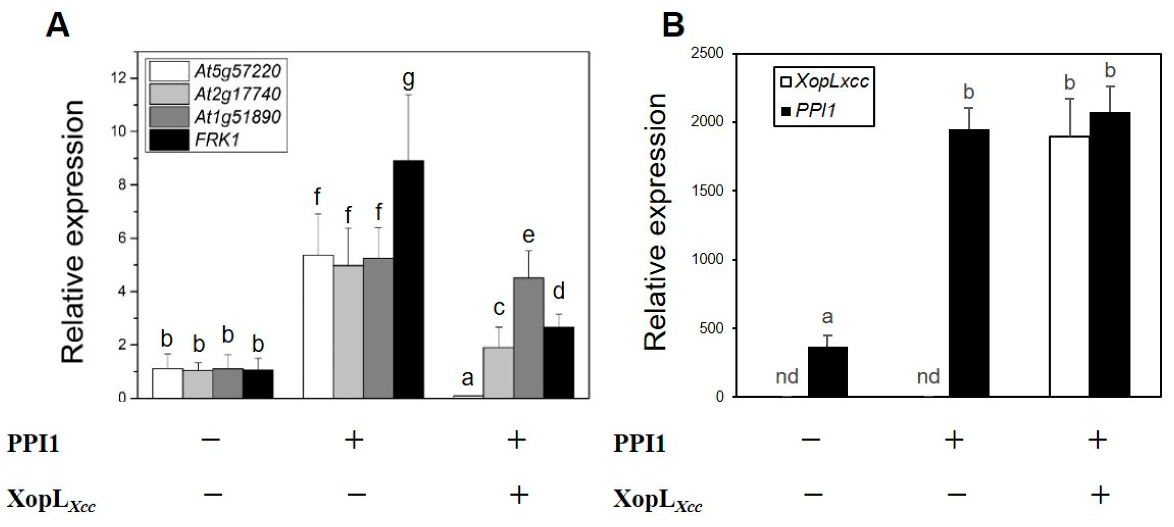 Ijms 25 09175 g006 Ijms 25 09175 g006