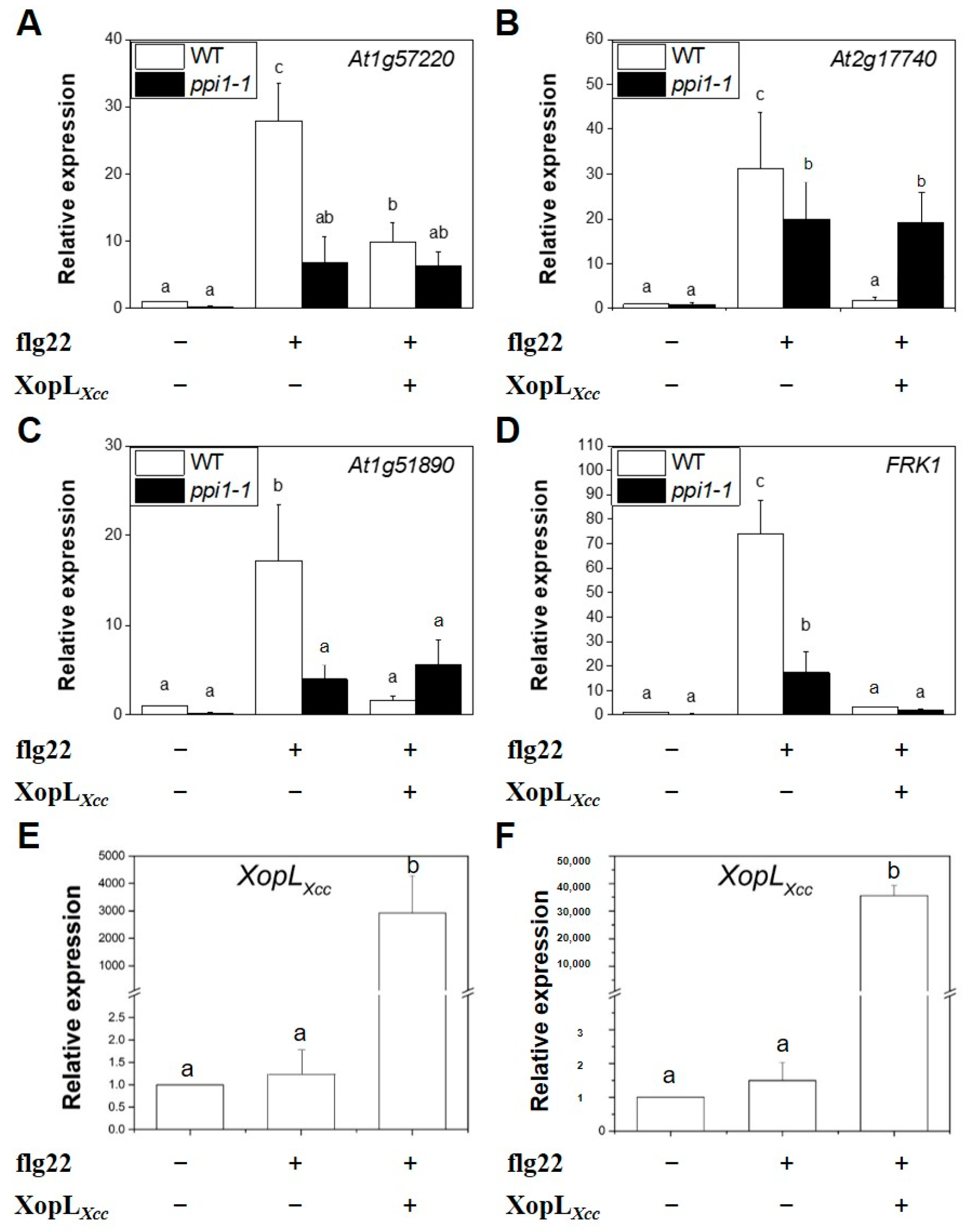 Ijms 25 09175 g007 Ijms 25 09175 g007