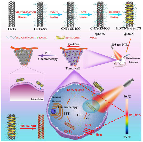 Synergistic Photothermal Therapy and Chemotherapy Enabled by Tumor ...