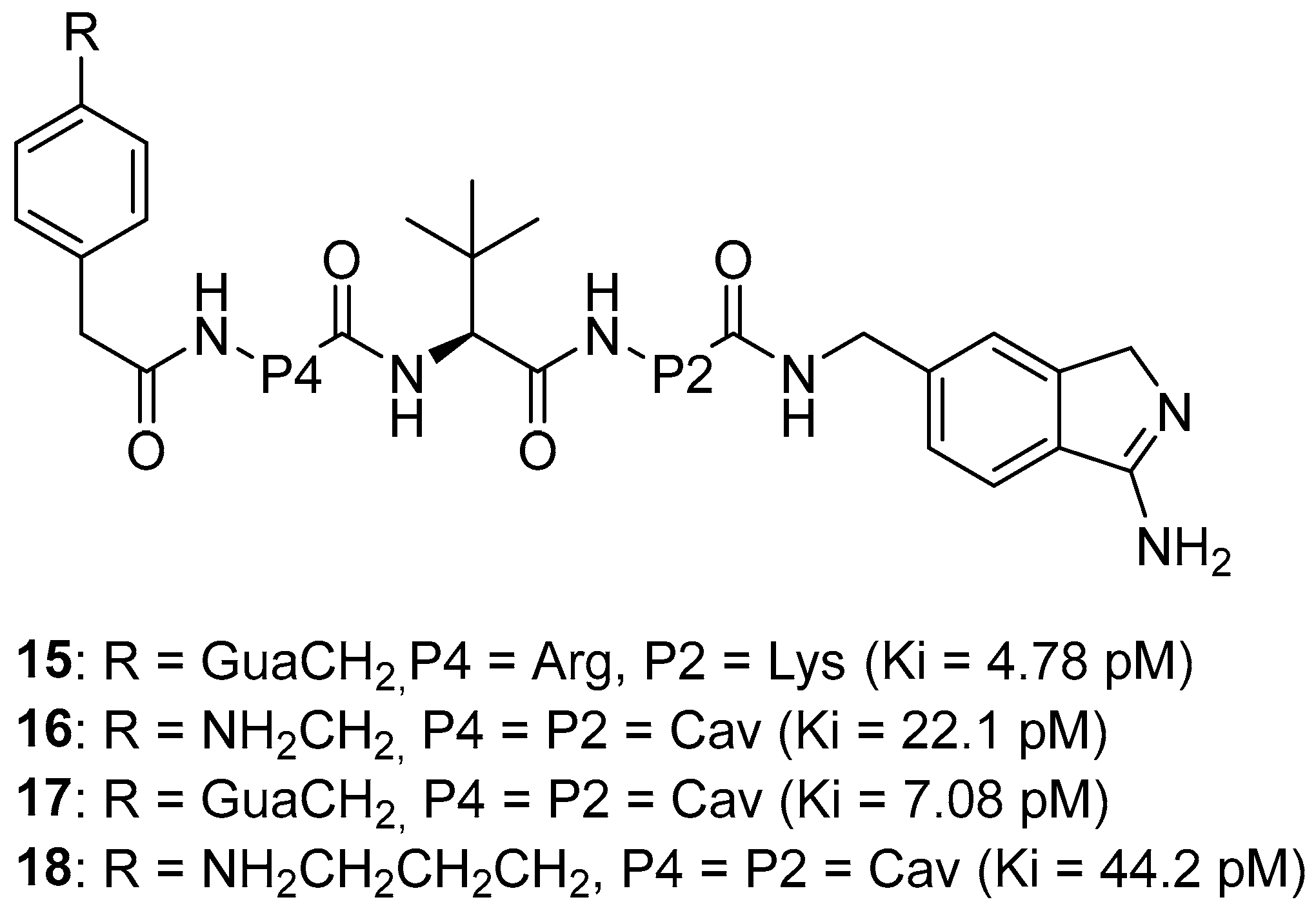 Ijms 25 09199 g008 Ijms 25 09199 g008