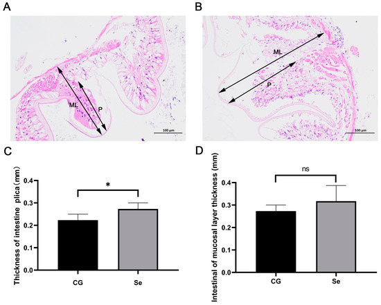 Effects of Dietary Bio-Fermented Selenium Supplementation on Growth ...