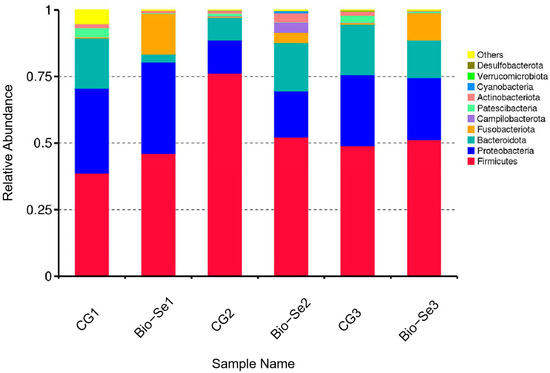 Effects of Dietary Bio-Fermented Selenium Supplementation on