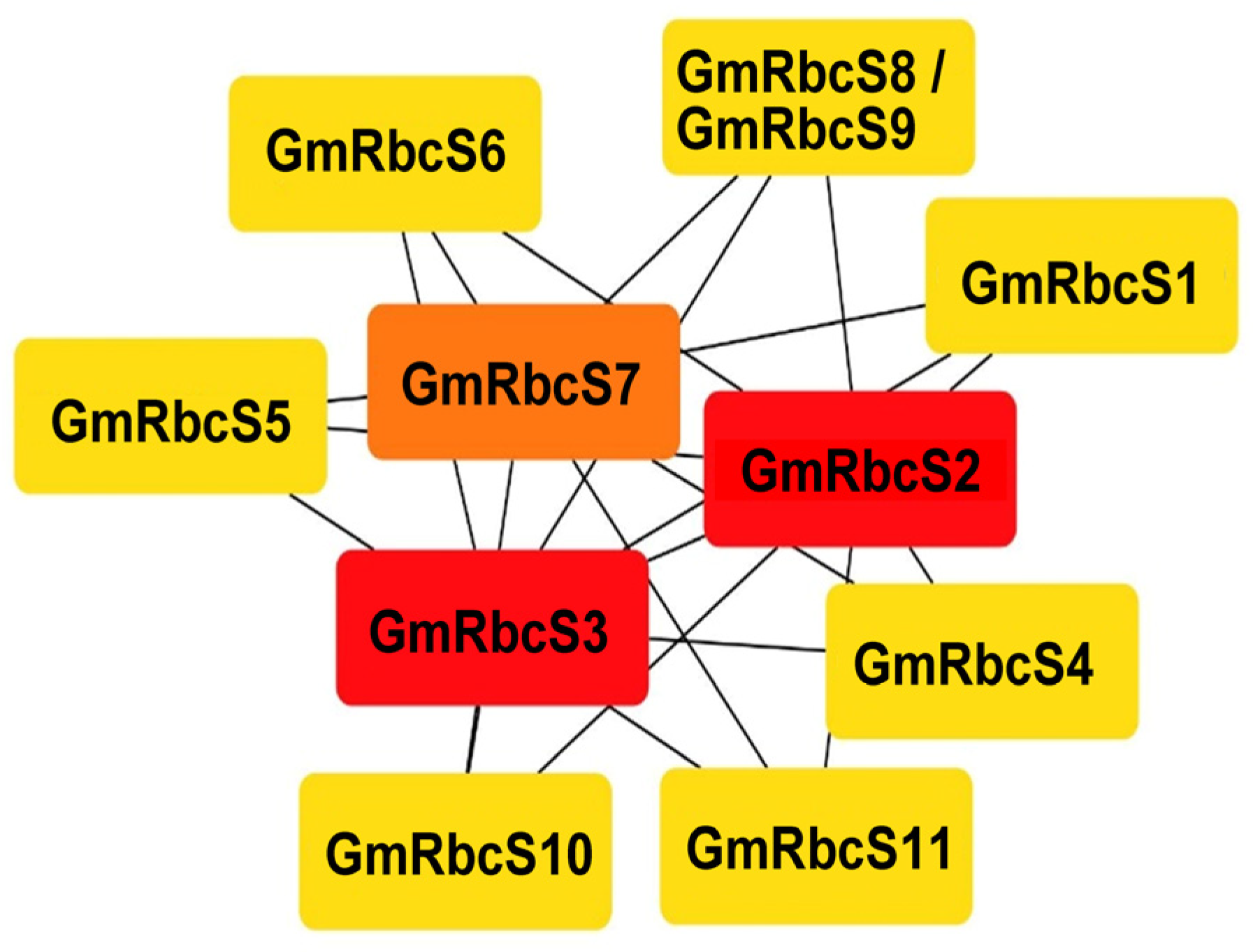 Ijms 25 09231 g006 Ijms 25 09231 g006
