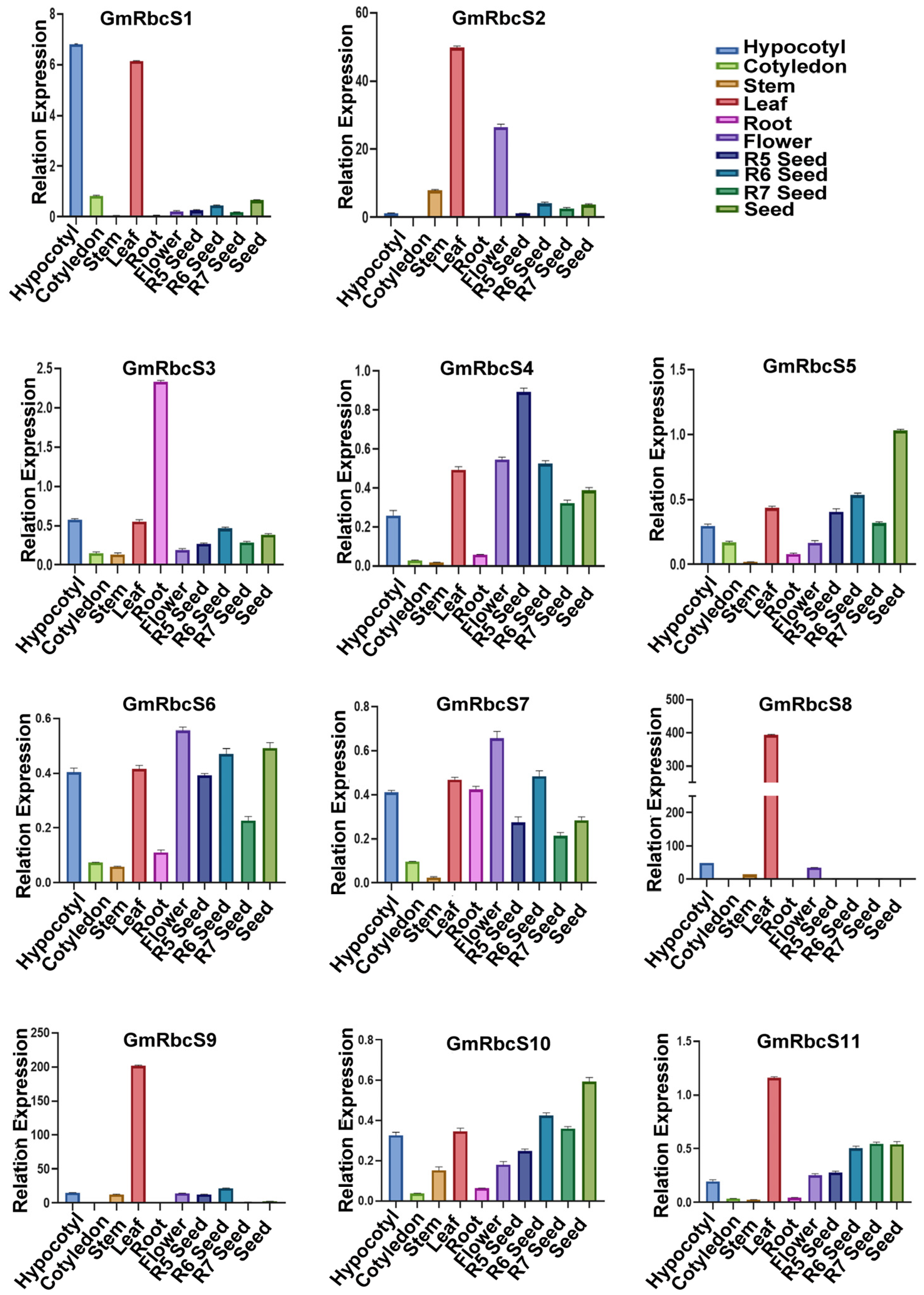 Ijms 25 09231 g007 Ijms 25 09231 g007