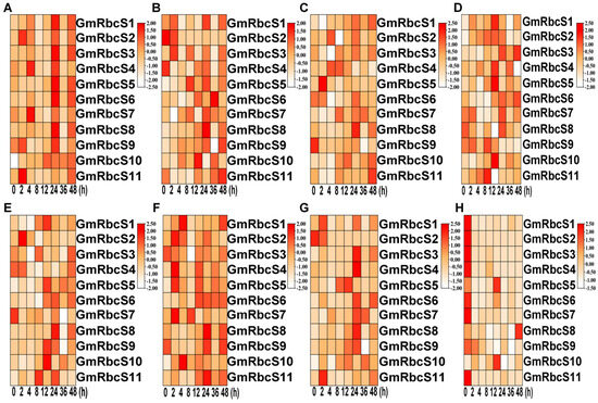 Genome-Wide Analysis and Expression Profiling of Soybean