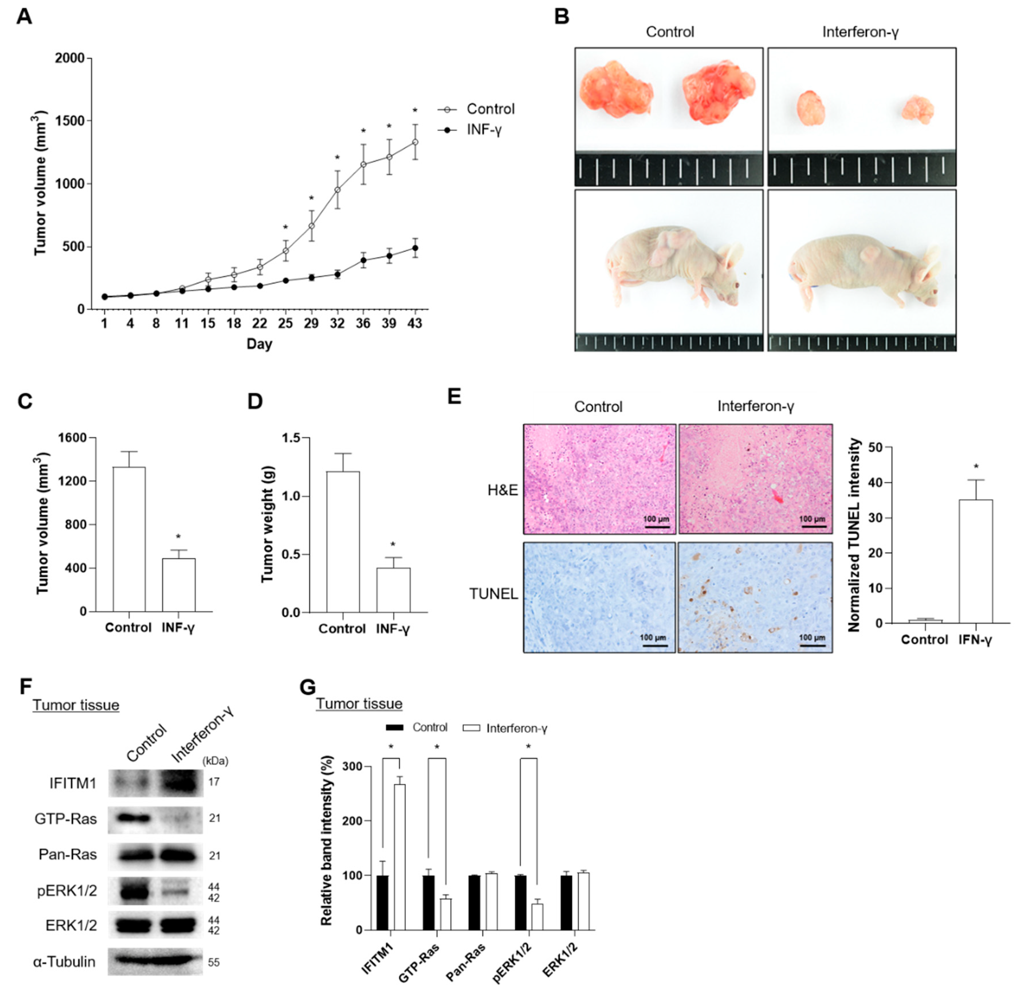 Ijms 25 09265 g004 Ijms 25 09265 g004