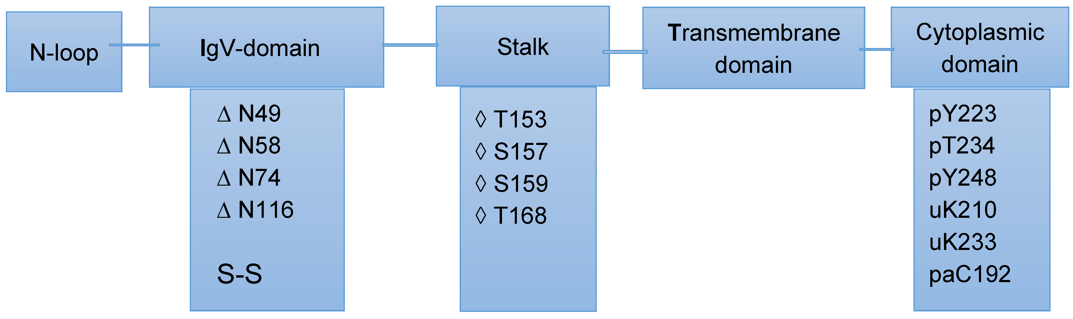 Proteomic Investigation of Immune Checkpoints and Some of
