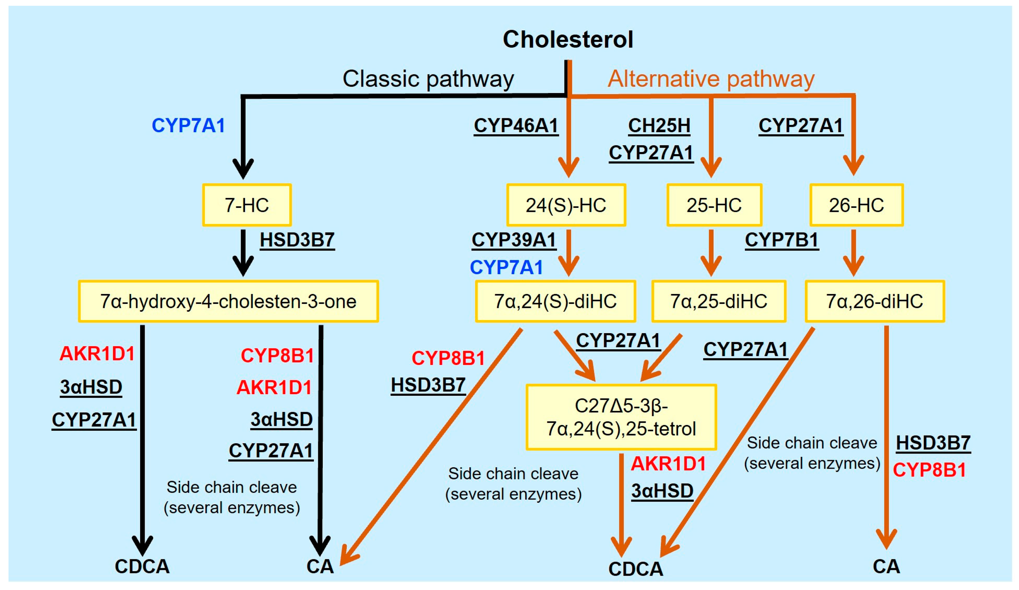 Ijms 25 09279 g001 Ijms 25 09279 g001