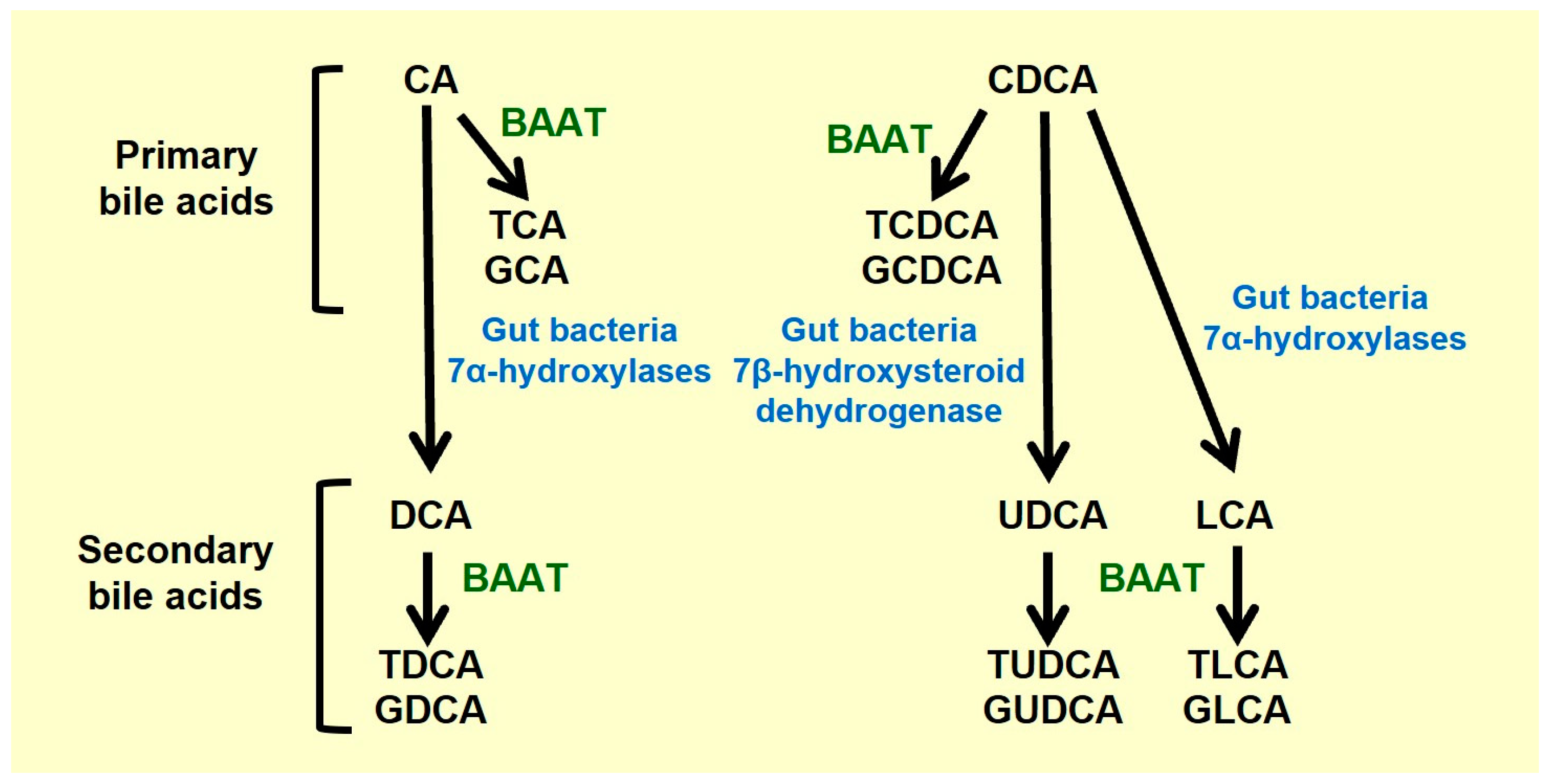 Ijms 25 09279 g002 Ijms 25 09279 g002