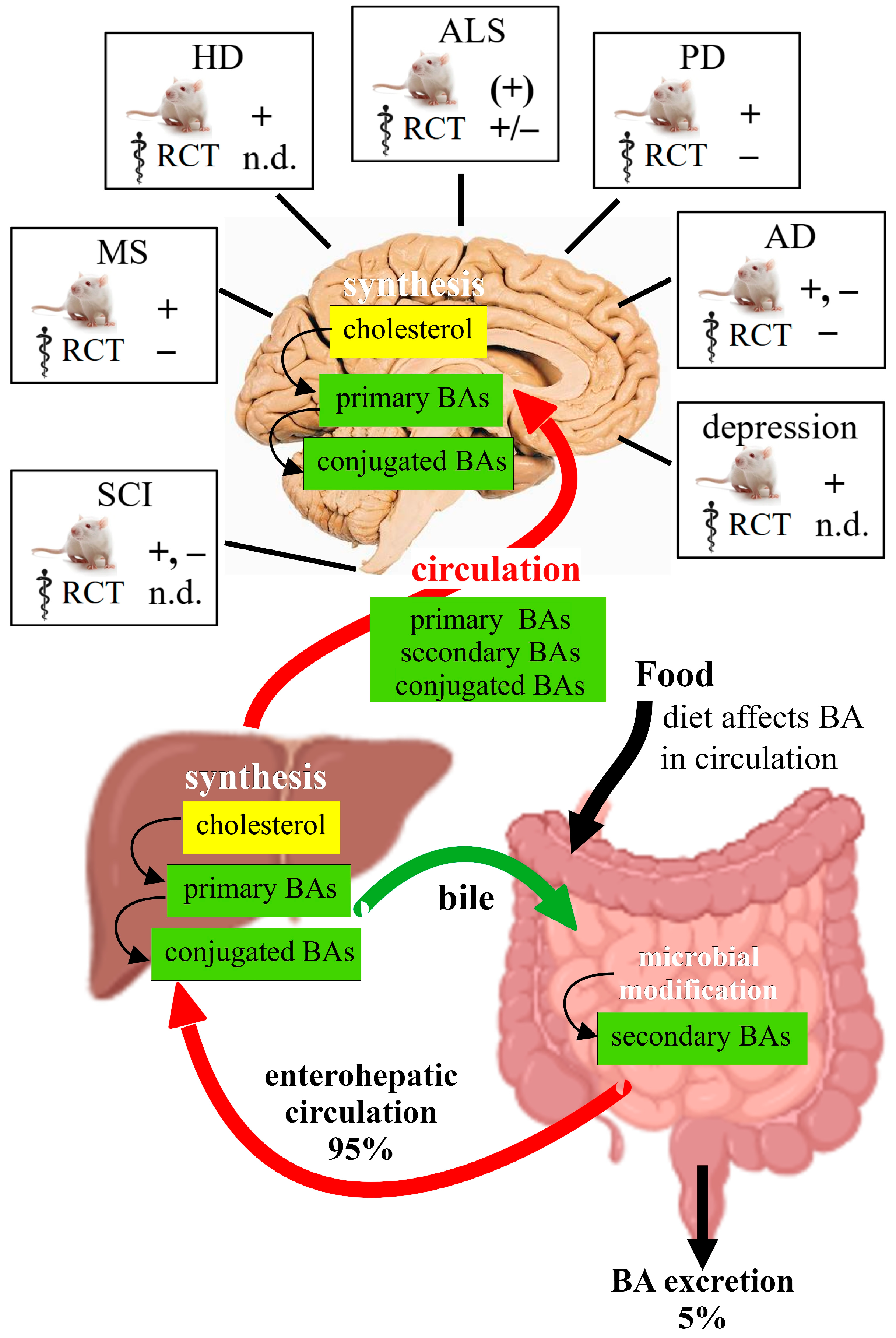Ijms 25 09279 g004 Ijms 25 09279 g004