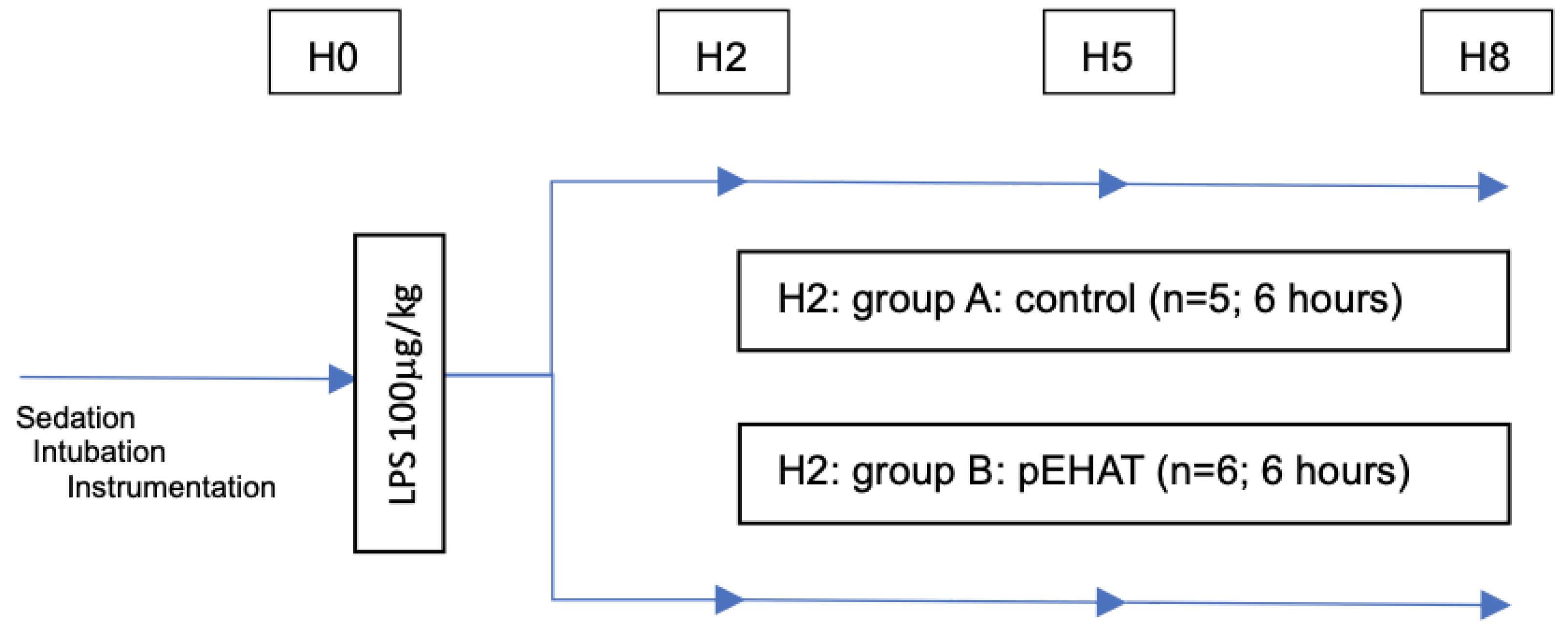 Ijms 25 09283 g005 Ijms 25 09283 g005