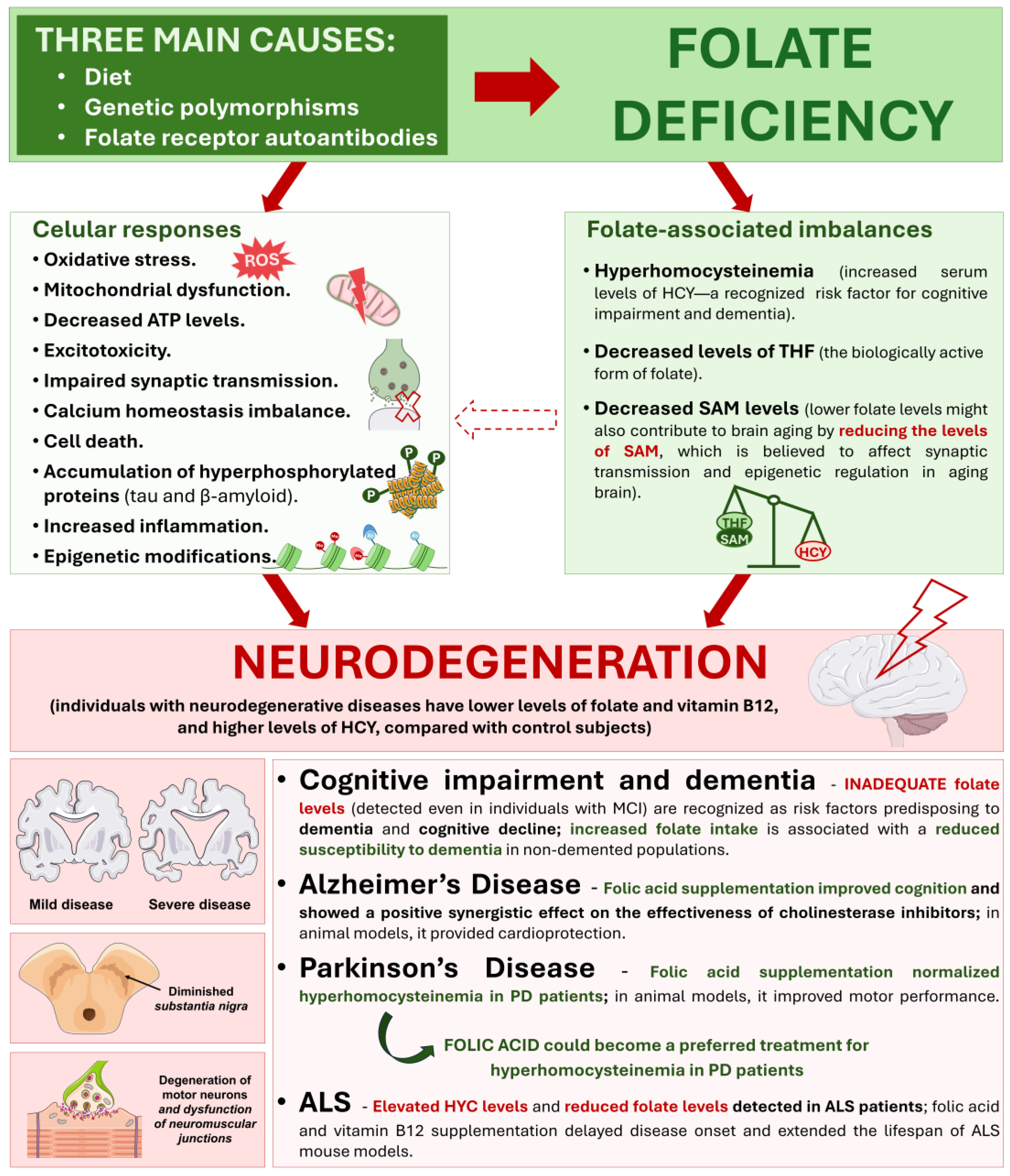 Ijms 25 09339 g005 Ijms 25 09339 g005
