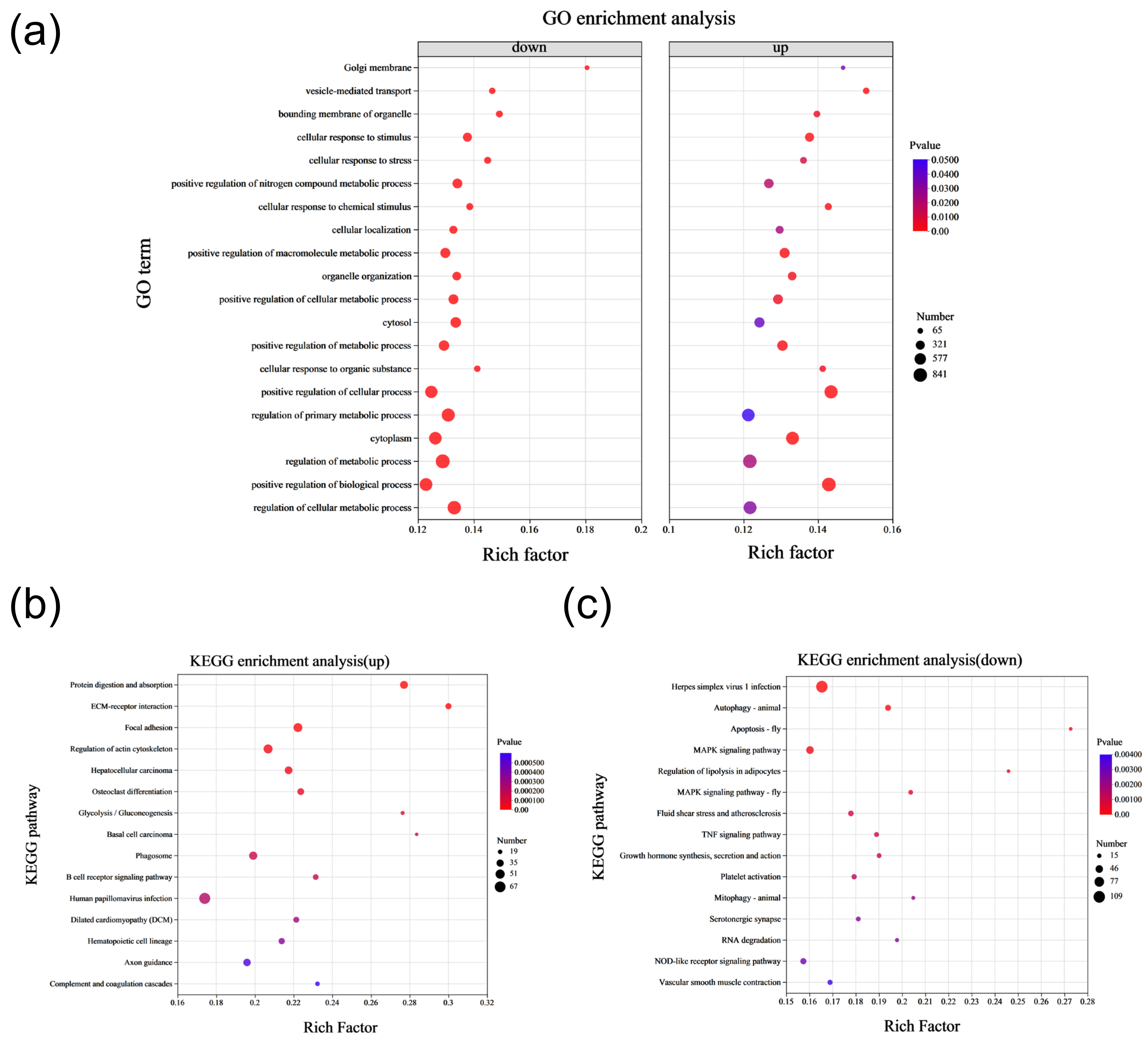 Ijms 25 09388 g002 Ijms 25 09388 g002