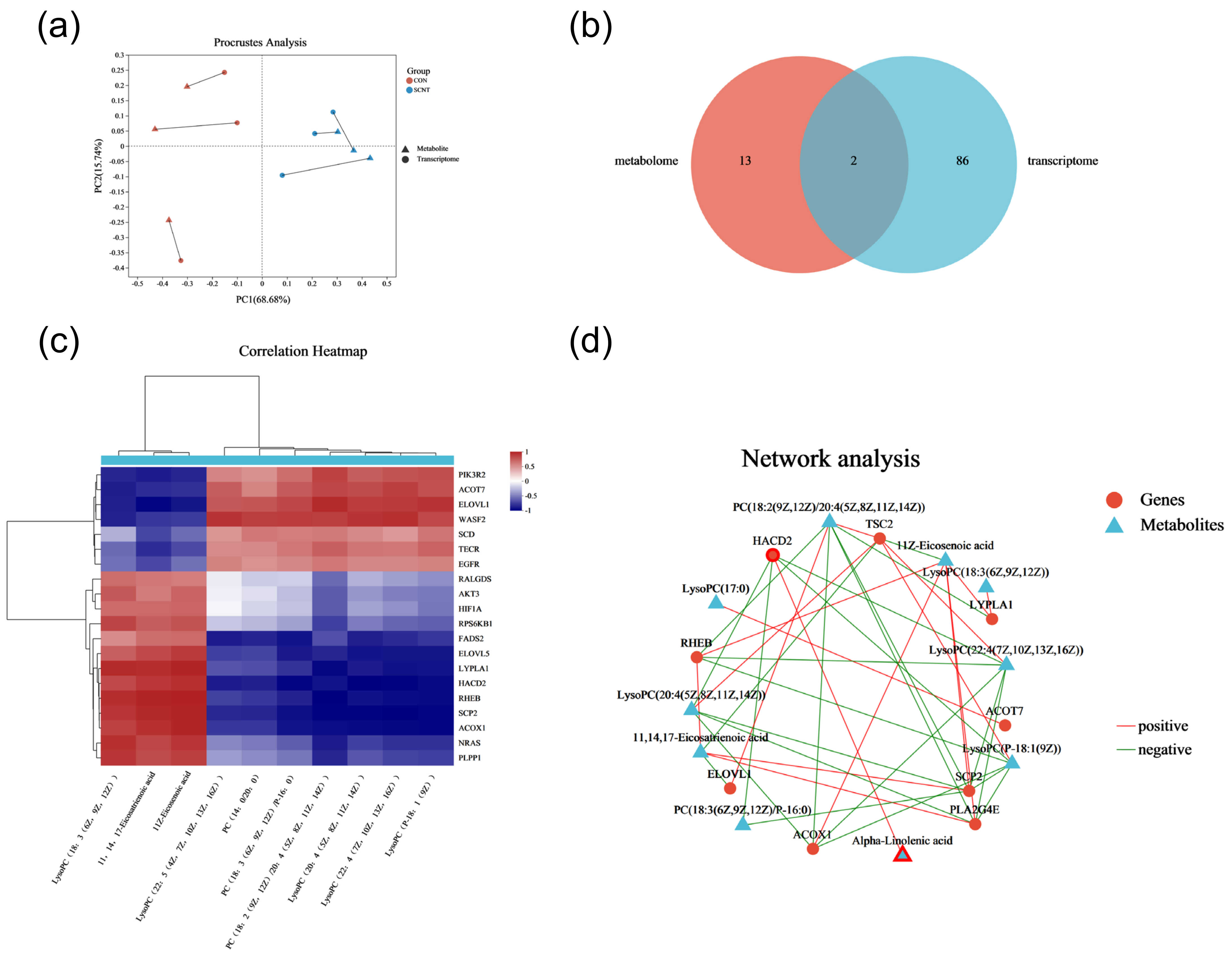 Ijms 25 09388 g006 Ijms 25 09388 g006