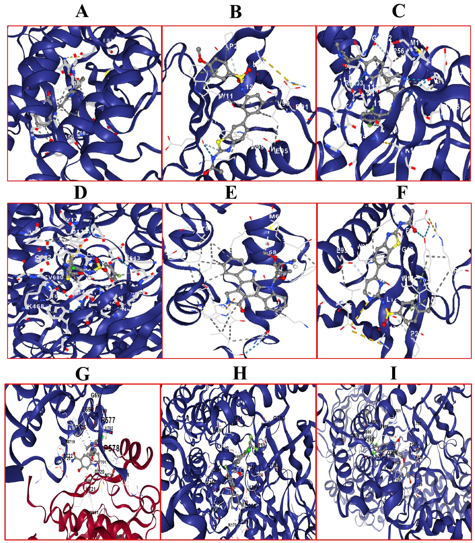 Ijms 25 09392 g006 Ijms 25 09392 g006