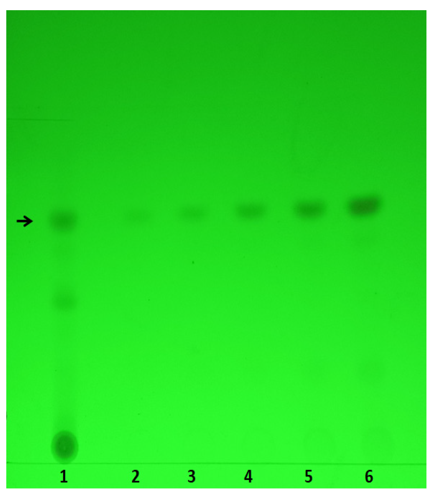 Ijms 25 09432 g004 Ijms 25 09432 g004