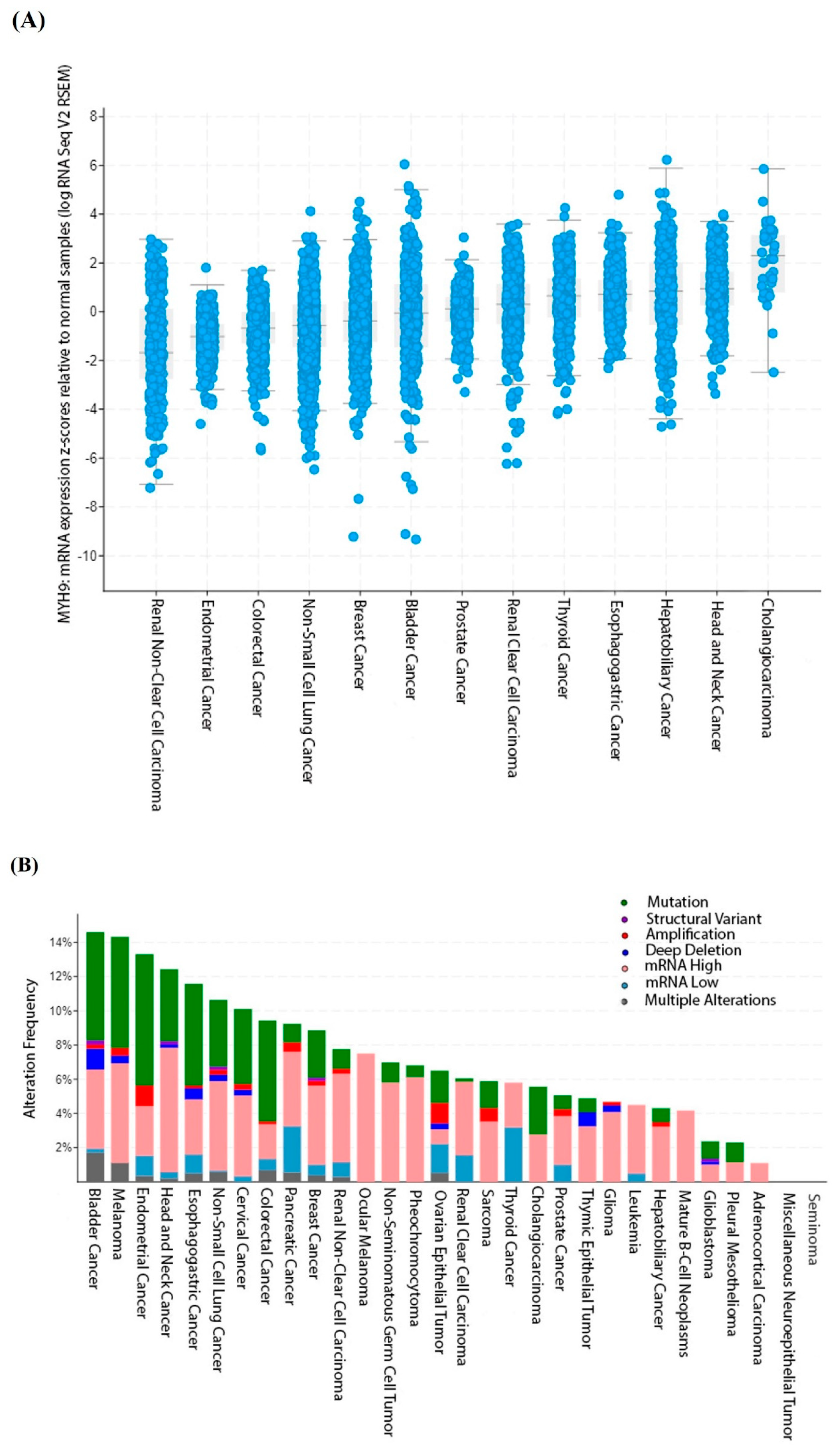 Ijms 25 09435 g001 Ijms 25 09435 g001