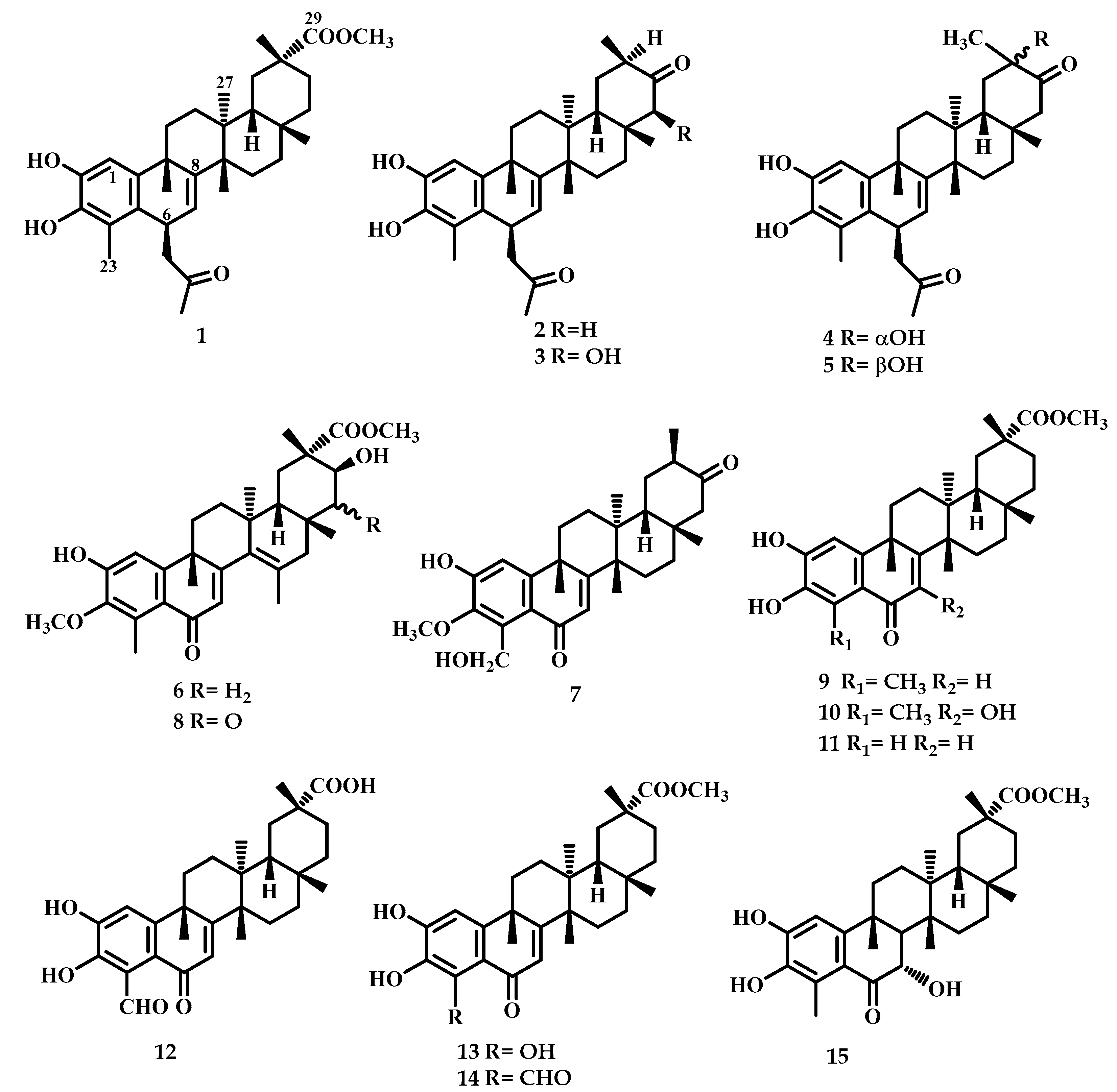 Ijms 25 09470 g001 Ijms 25 09470 g001
