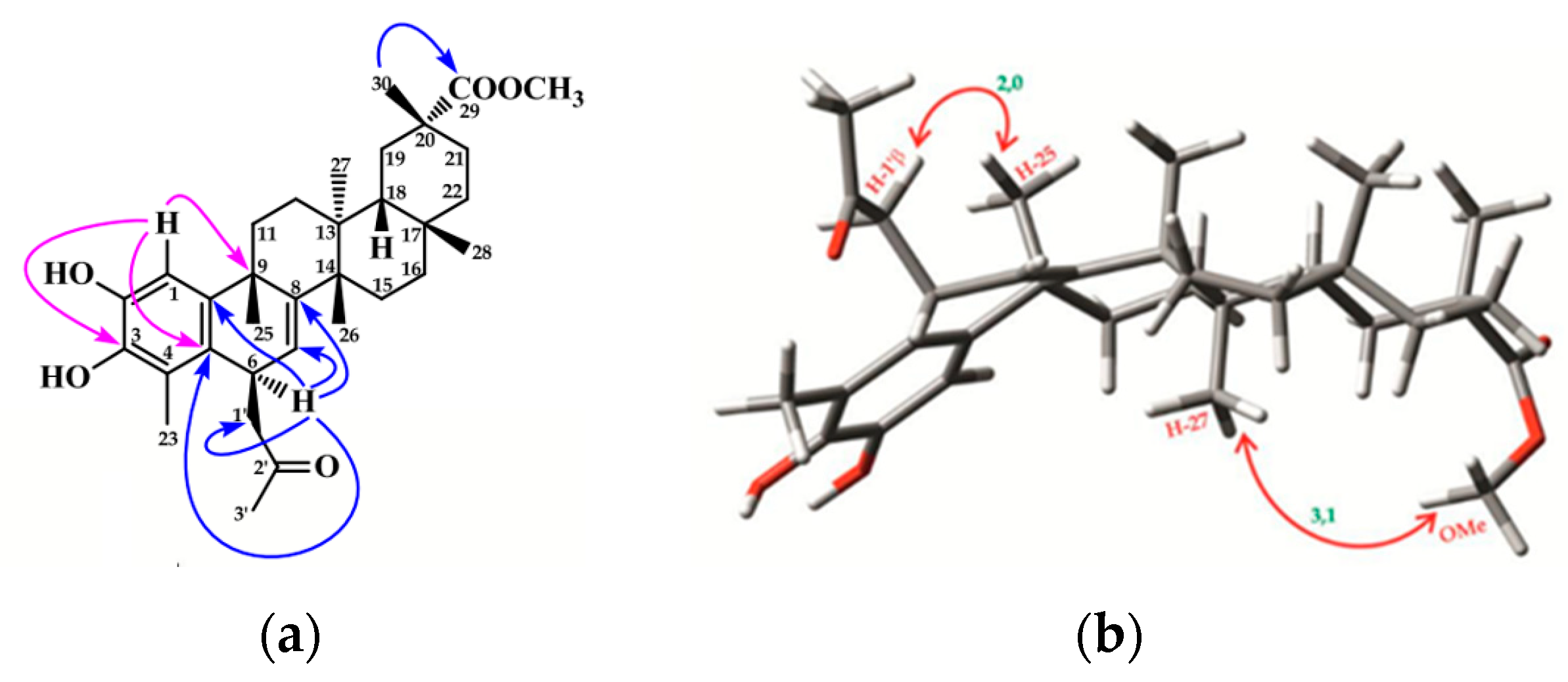 Ijms 25 09470 g002 Ijms 25 09470 g002