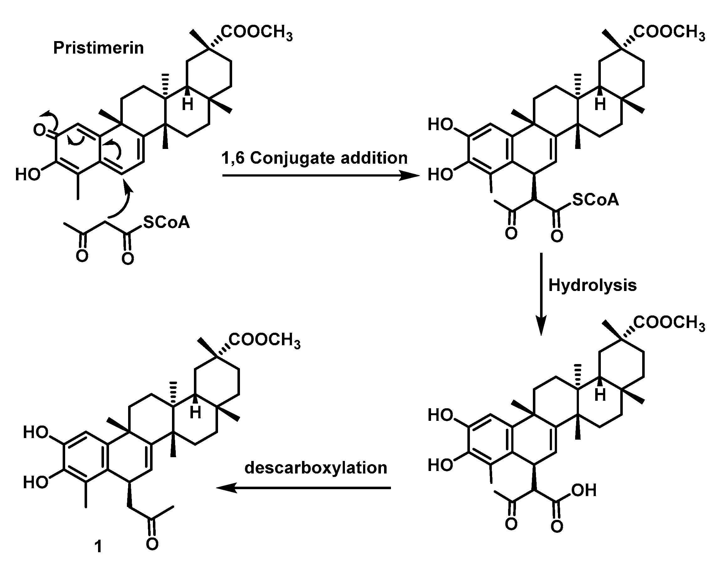 Ijms 25 09470 g003 Ijms 25 09470 g003