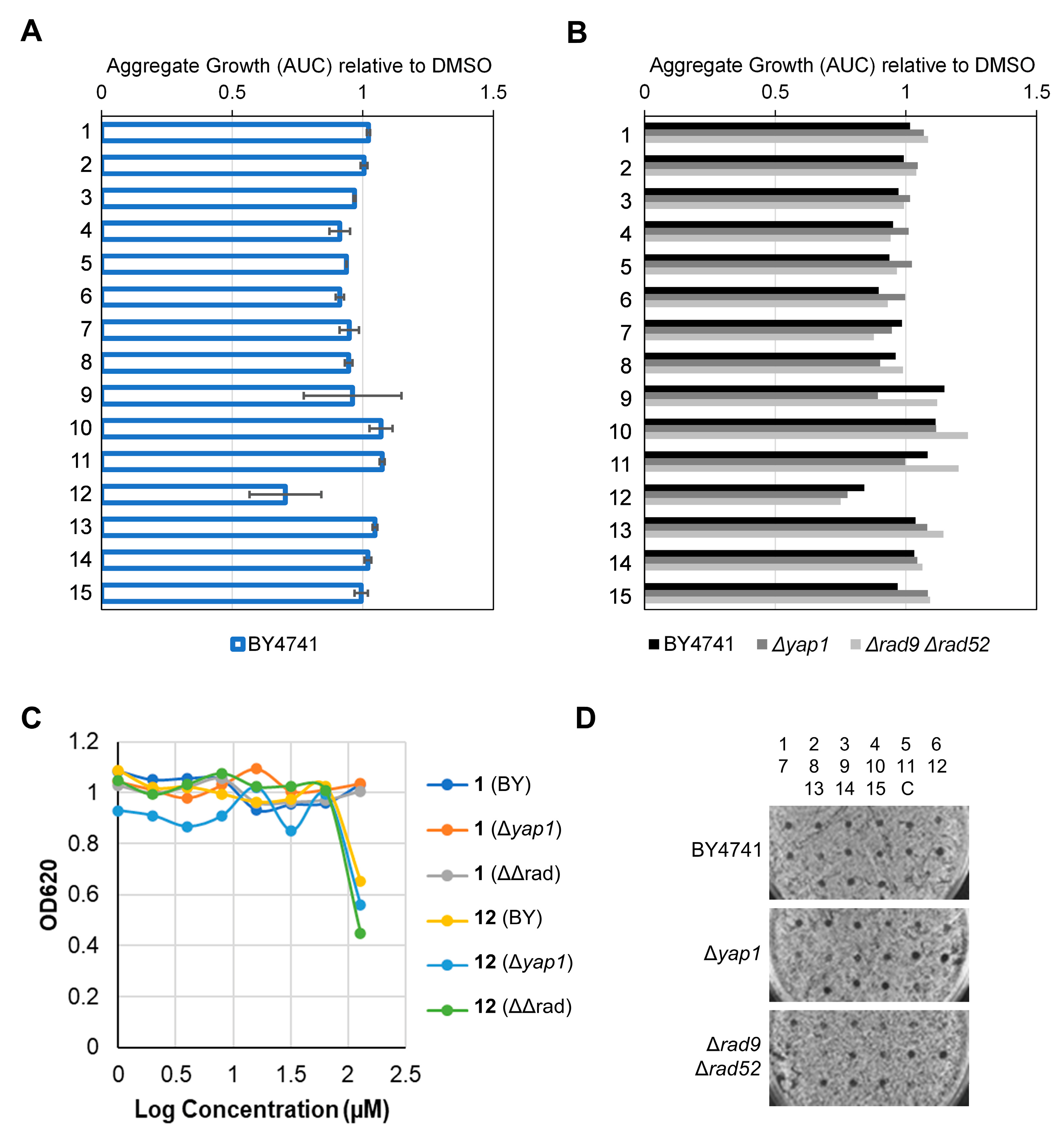 Ijms 25 09470 g006 Ijms 25 09470 g006