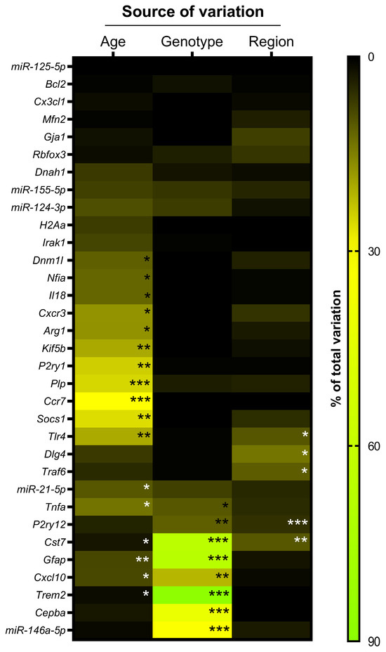 The Role of Microsphere Structures in Bottom-Up Bone Tissue Engineering