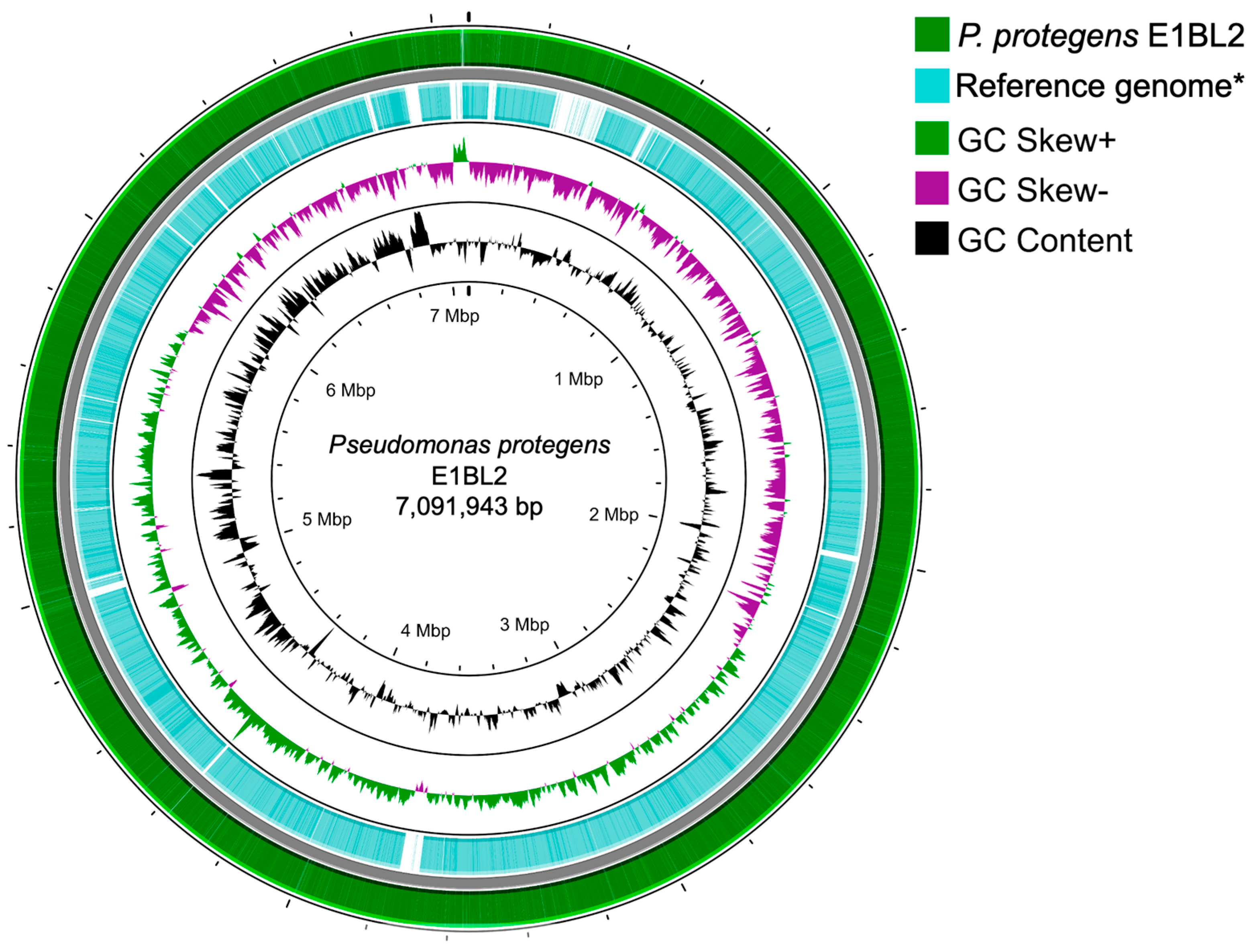 Ijms 25 09508 g001 Ijms 25 09508 g001