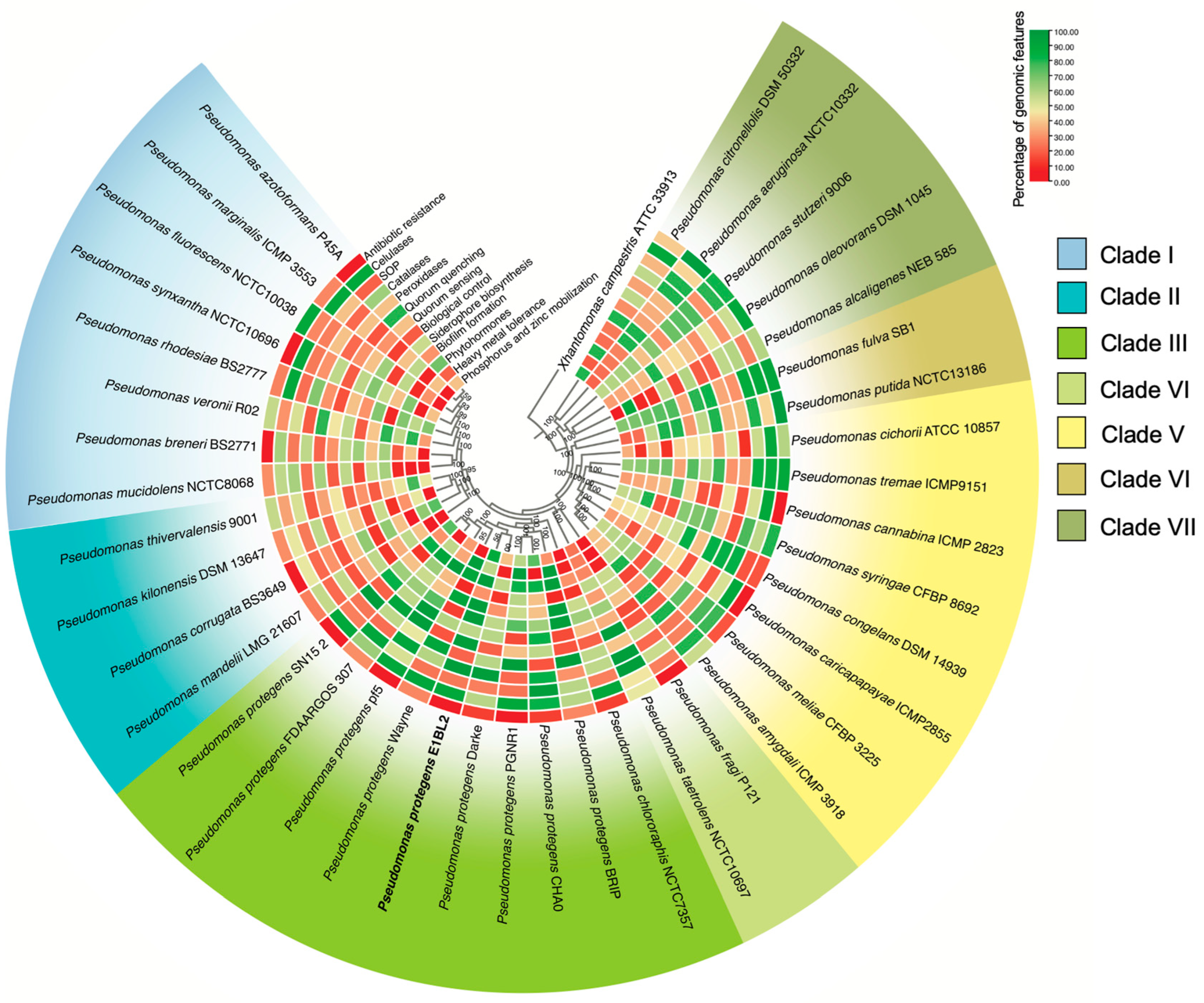 Ijms 25 09508 g002 Ijms 25 09508 g002
