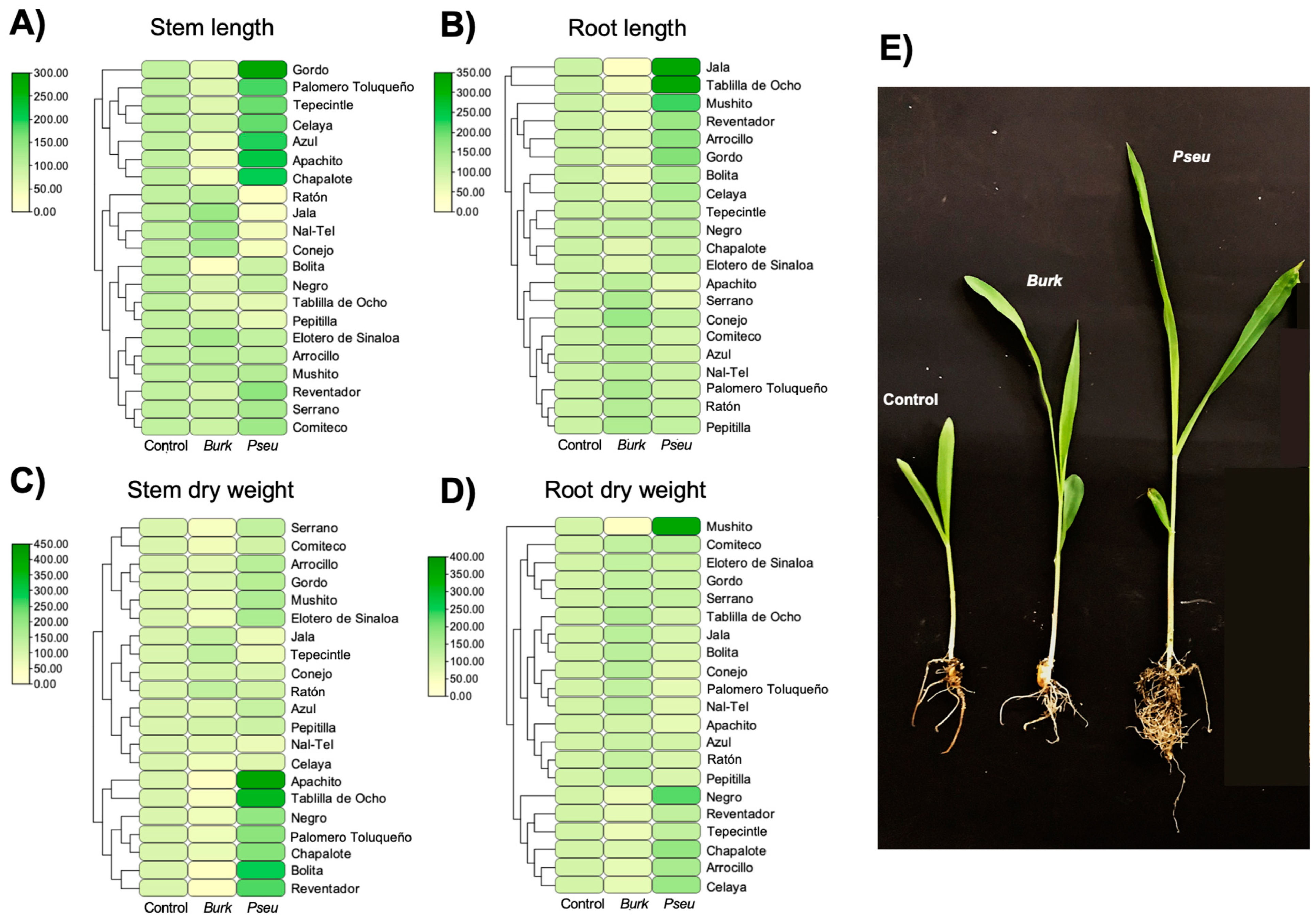 Ijms 25 09508 g003 Ijms 25 09508 g003