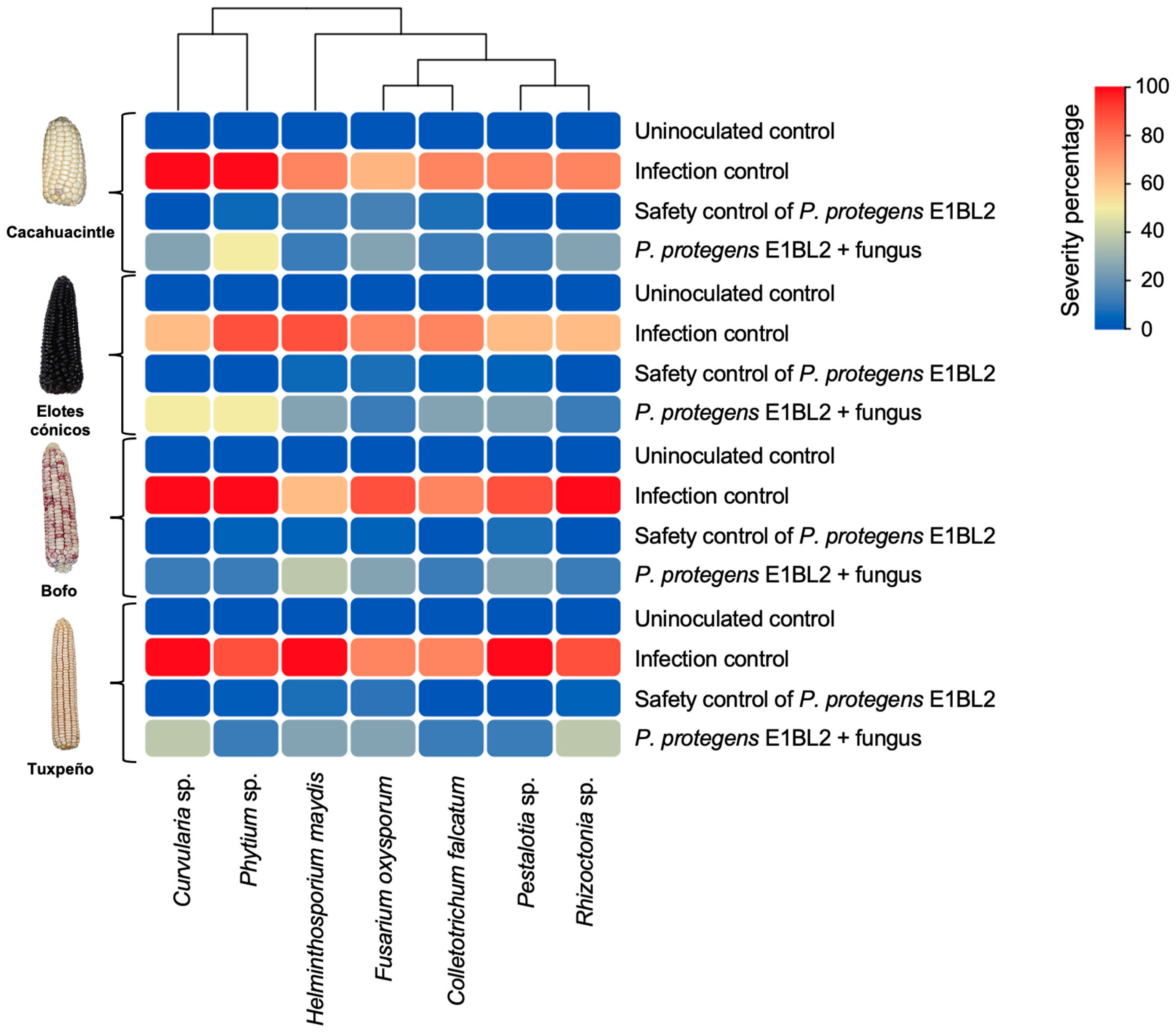 Ijms 25 09508 g005 Ijms 25 09508 g005