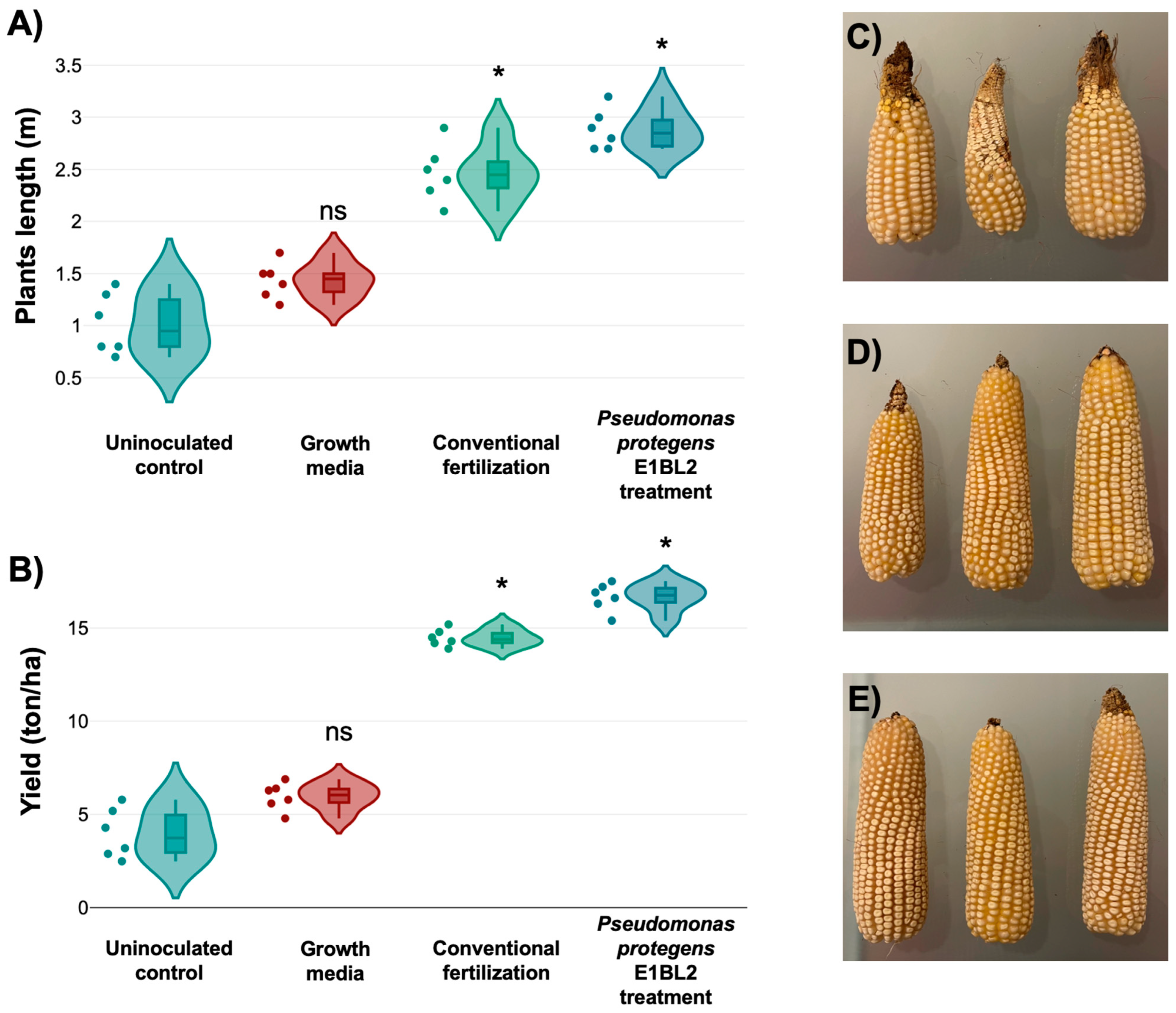 Ijms 25 09508 g006 Ijms 25 09508 g006