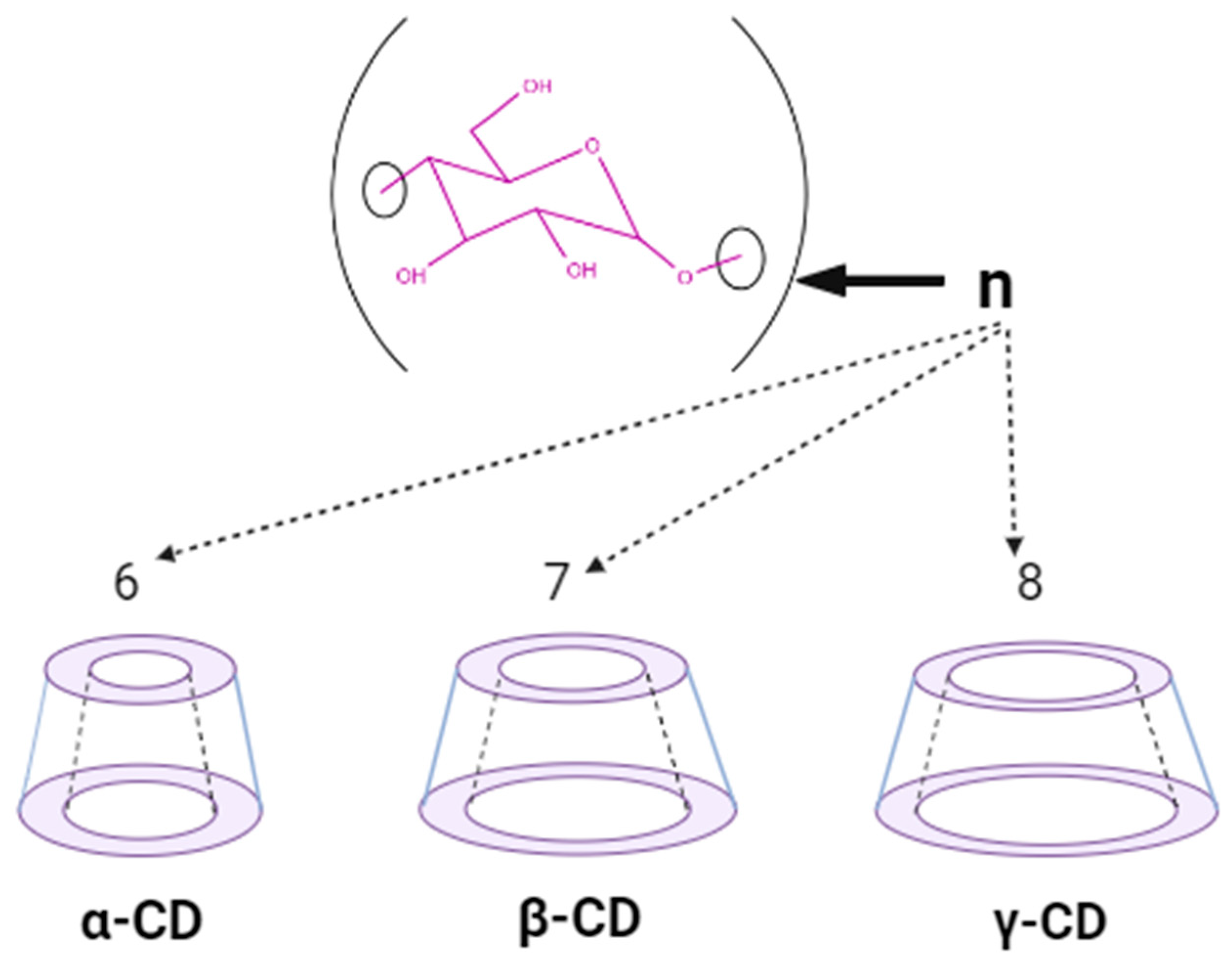 Ijms 25 09511 g002 Ijms 25 09511 g002