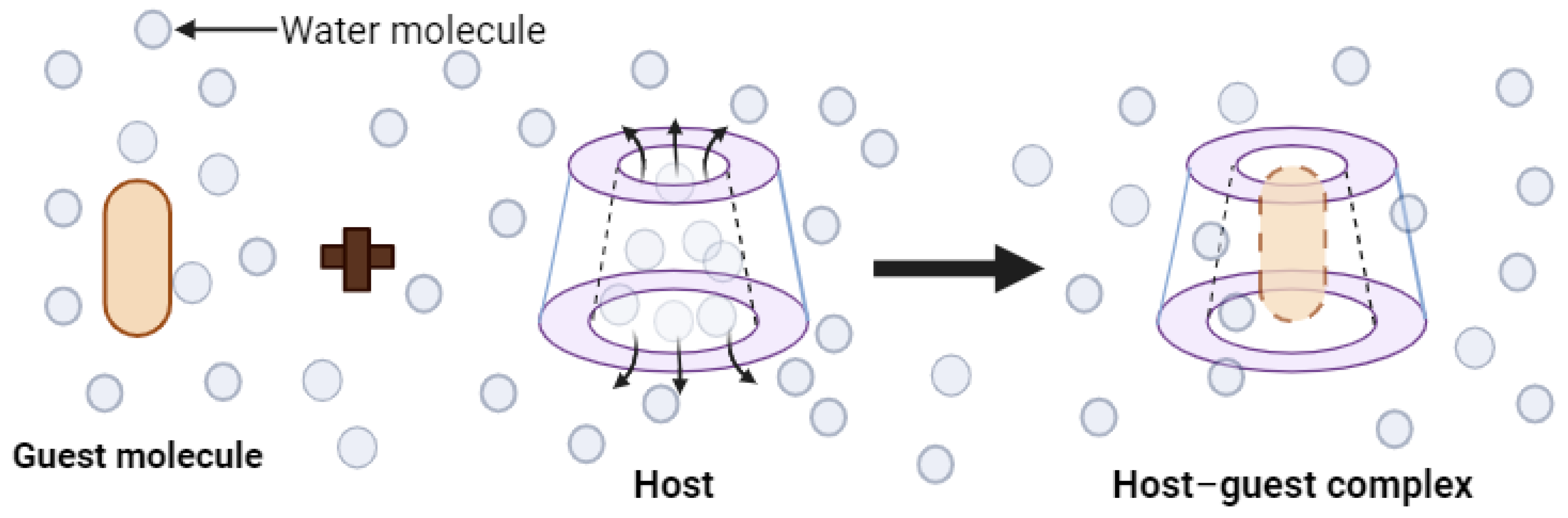 Ijms 25 09511 g004 Ijms 25 09511 g004