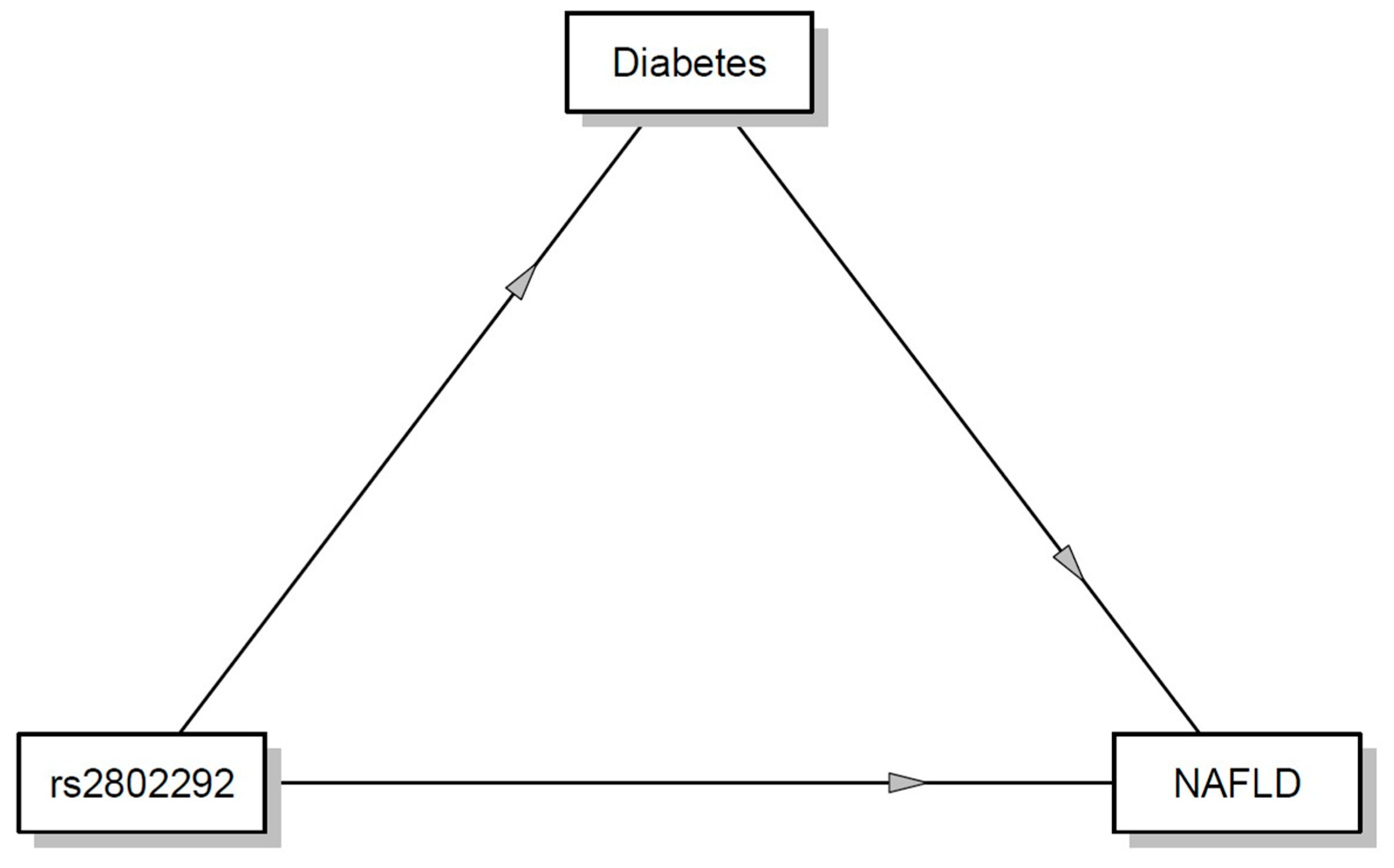 Ijms 25 09512 g001 Ijms 25 09512 g001