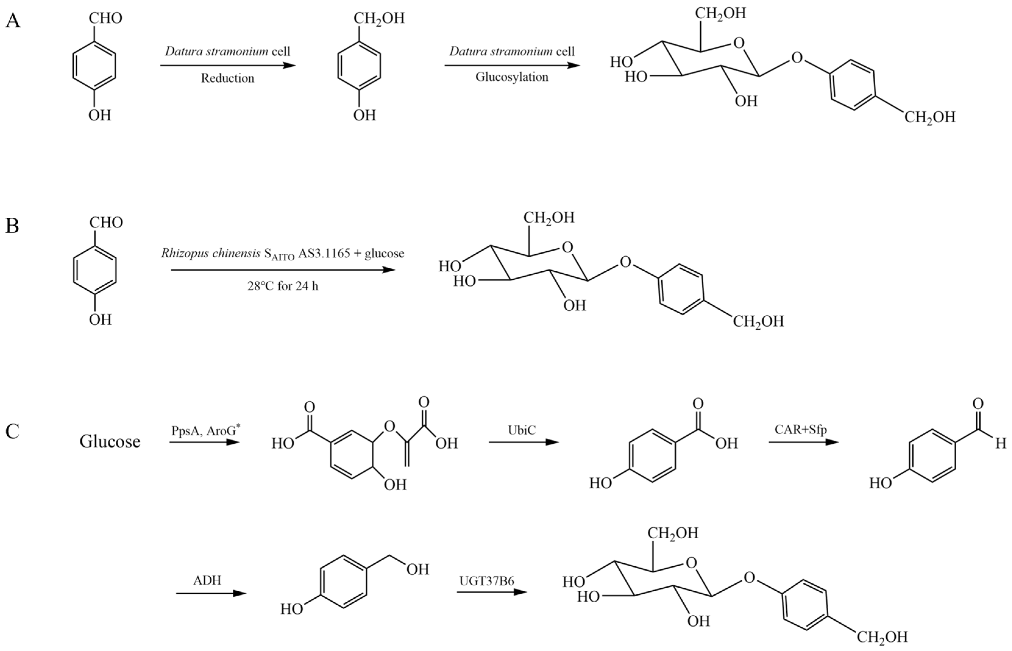 Ijms 25 09540 sch003