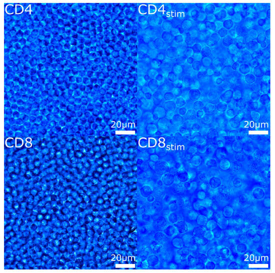 Raman Spectroscopy of Optically Trapped Living Human T Cell Subsets and ...