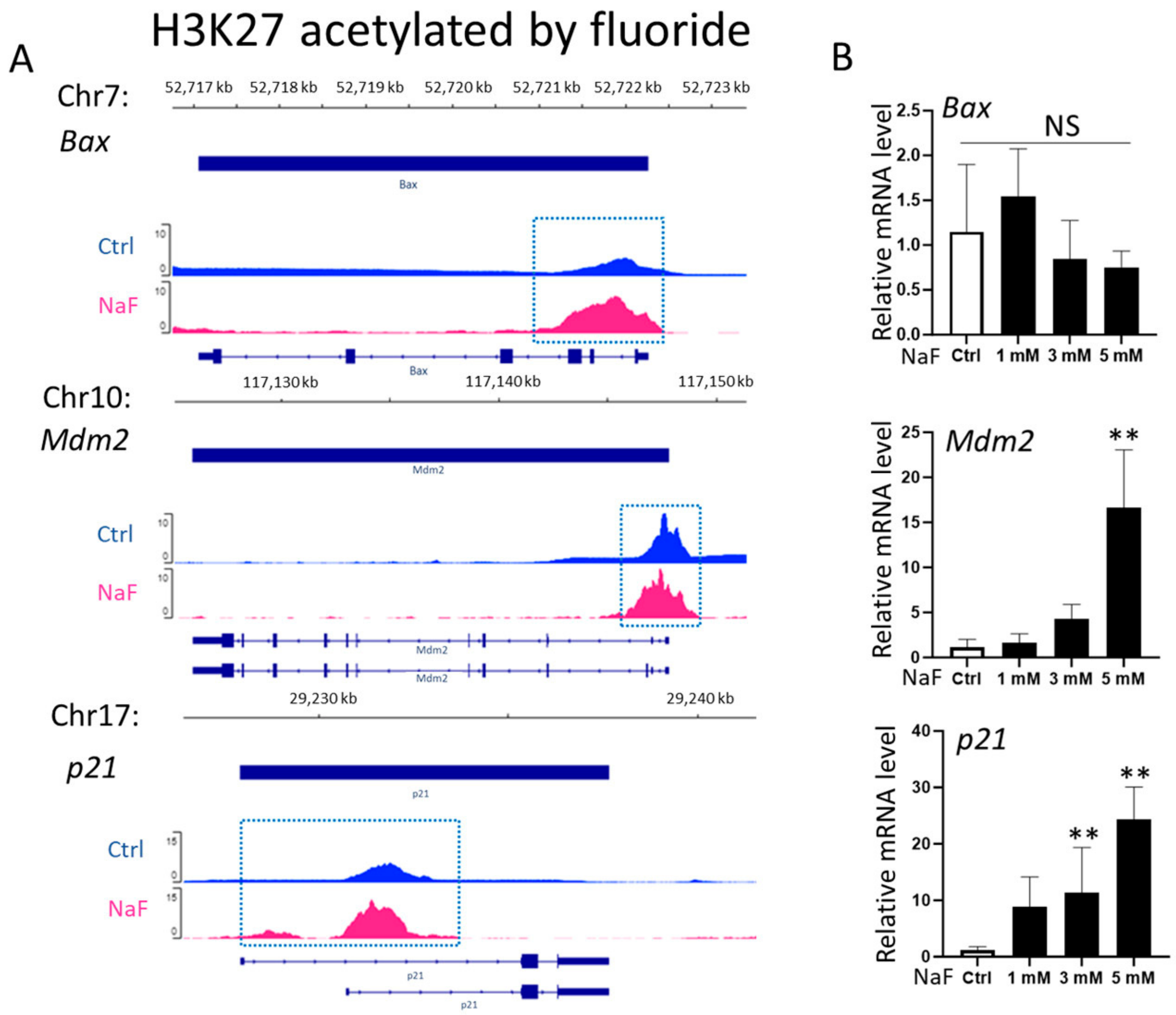 Ijms 25 09600 g001 Ijms 25 09600 g001