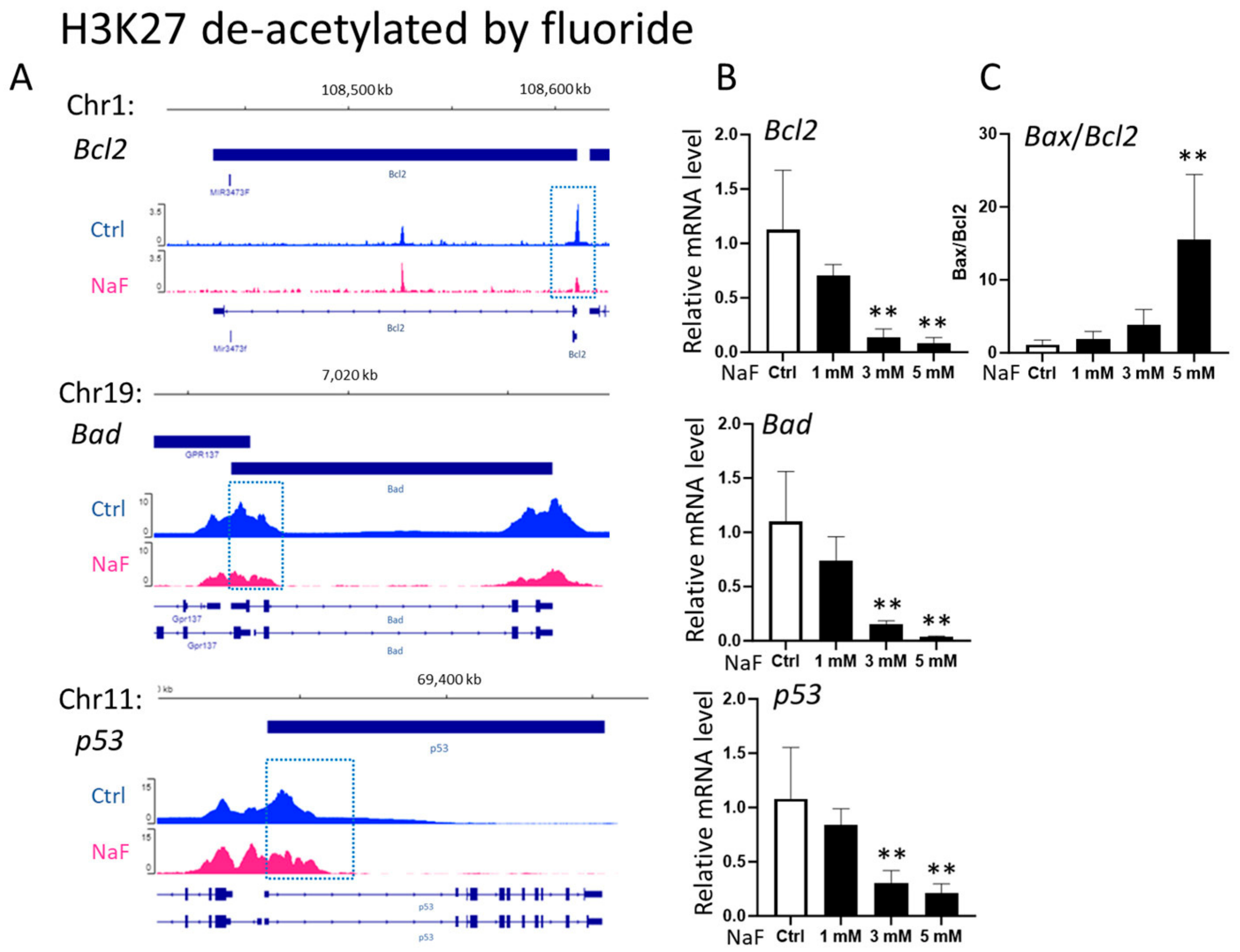 Ijms 25 09600 g002 Ijms 25 09600 g002