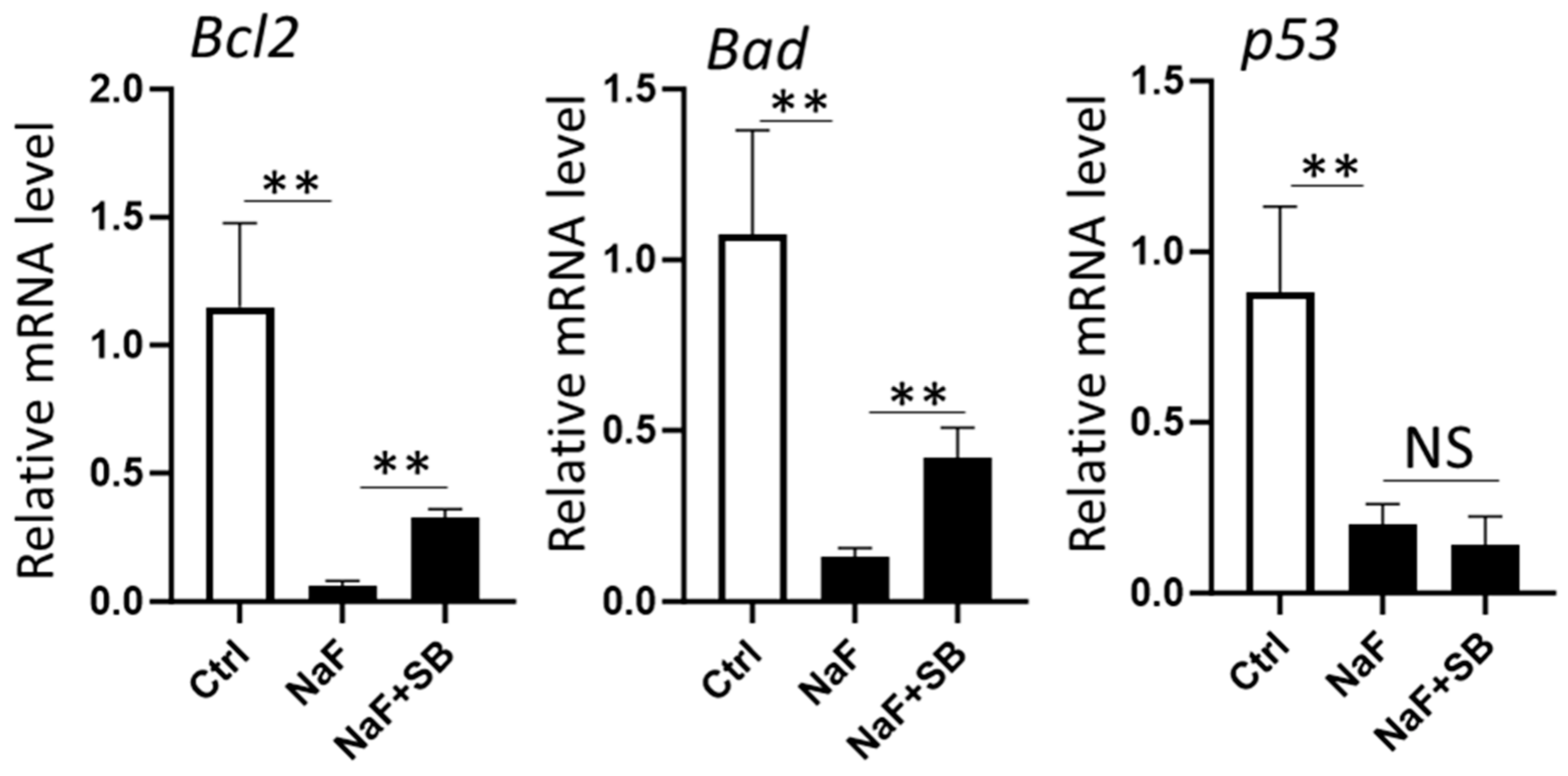 Ijms 25 09600 g007 Ijms 25 09600 g007