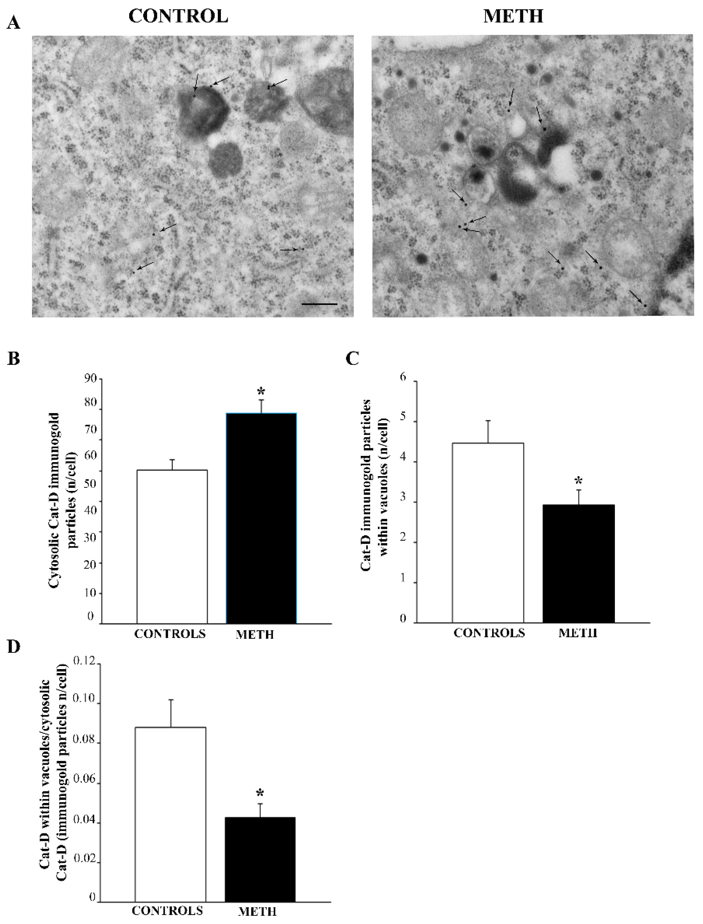 Ijms 25 09601 g008 Ijms 25 09601 g008