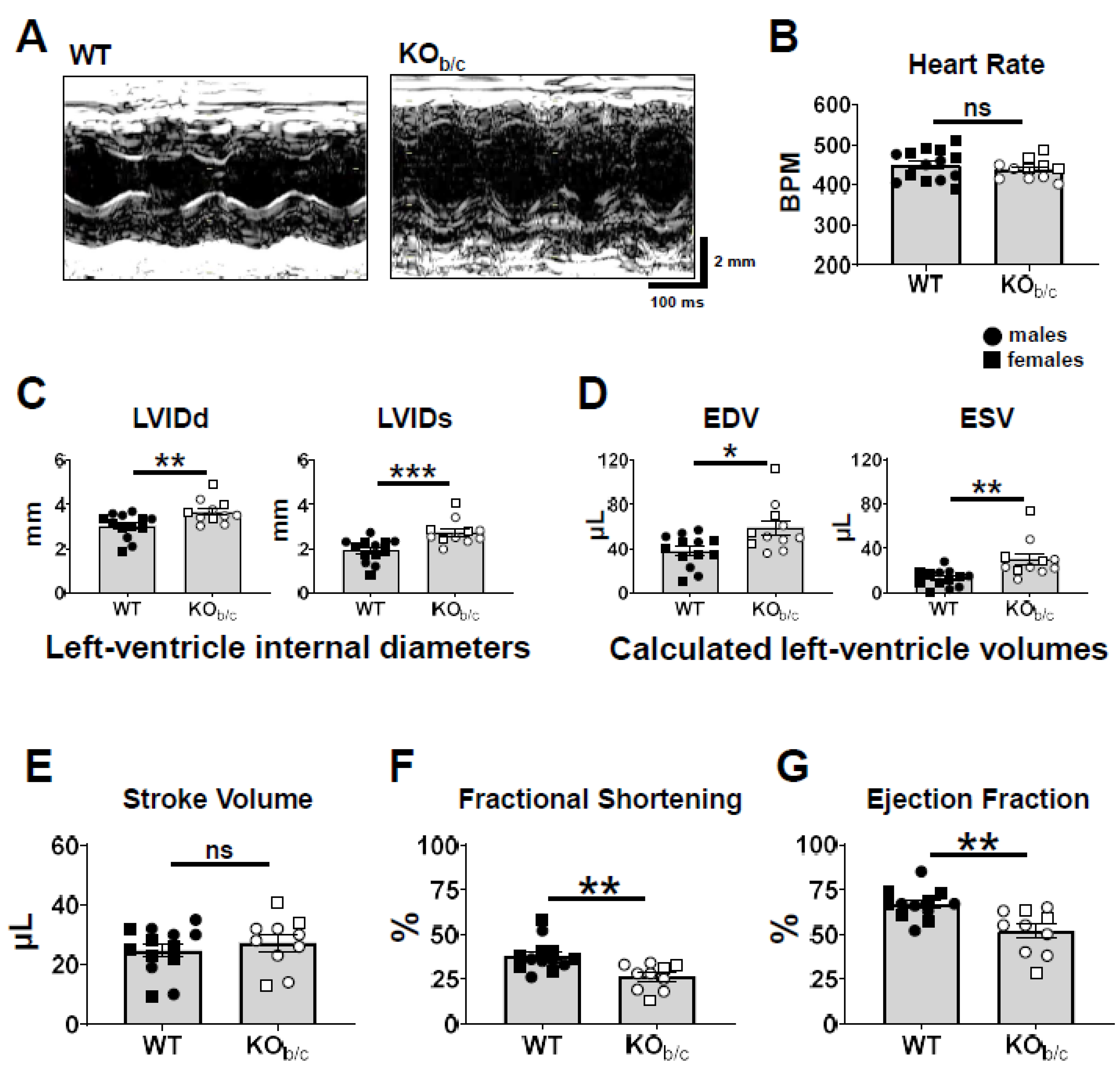 Ijms 25 09610 g002 Ijms 25 09610 g002