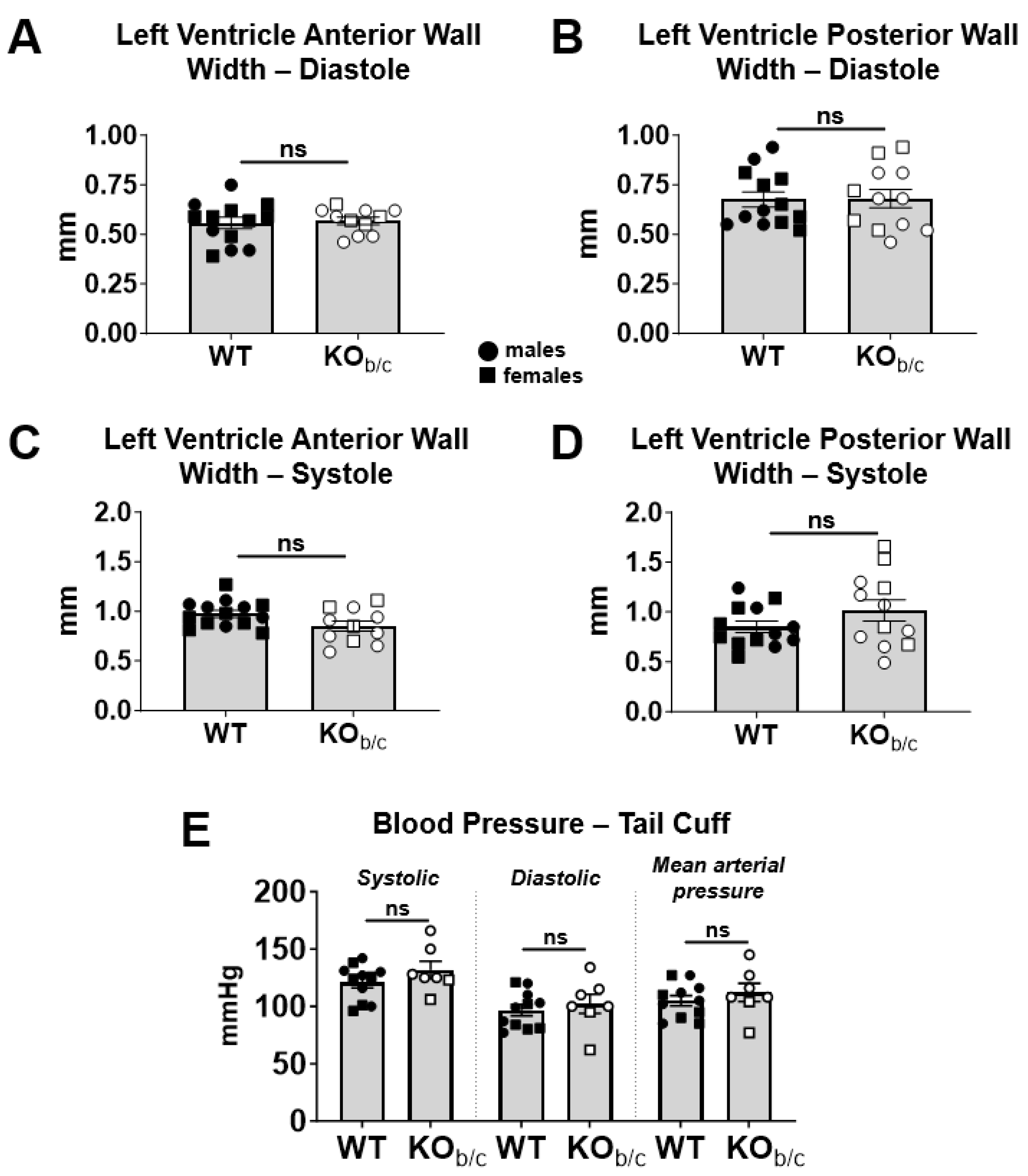 Ijms 25 09610 g003 Ijms 25 09610 g003