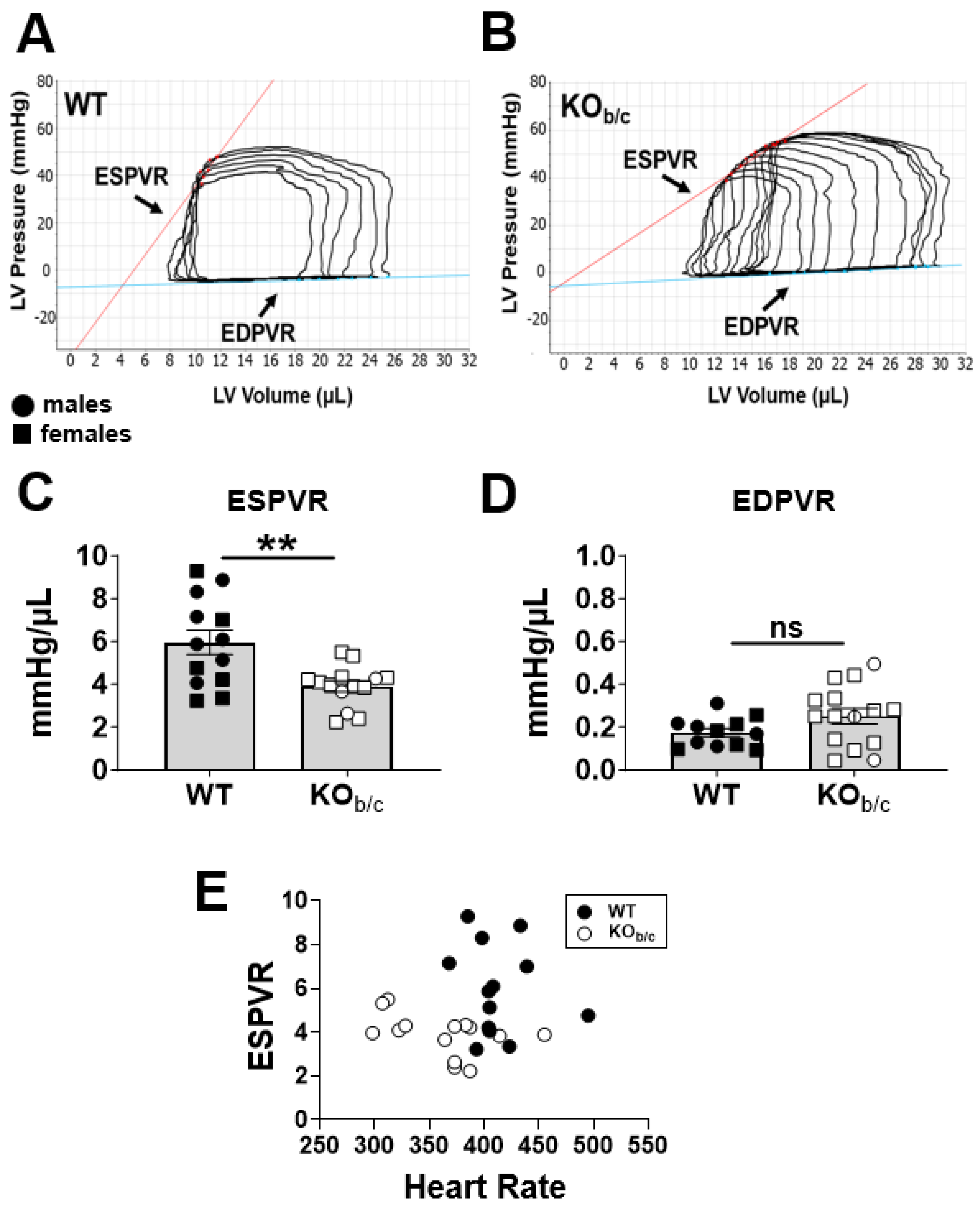 Ijms 25 09610 g005 Ijms 25 09610 g005