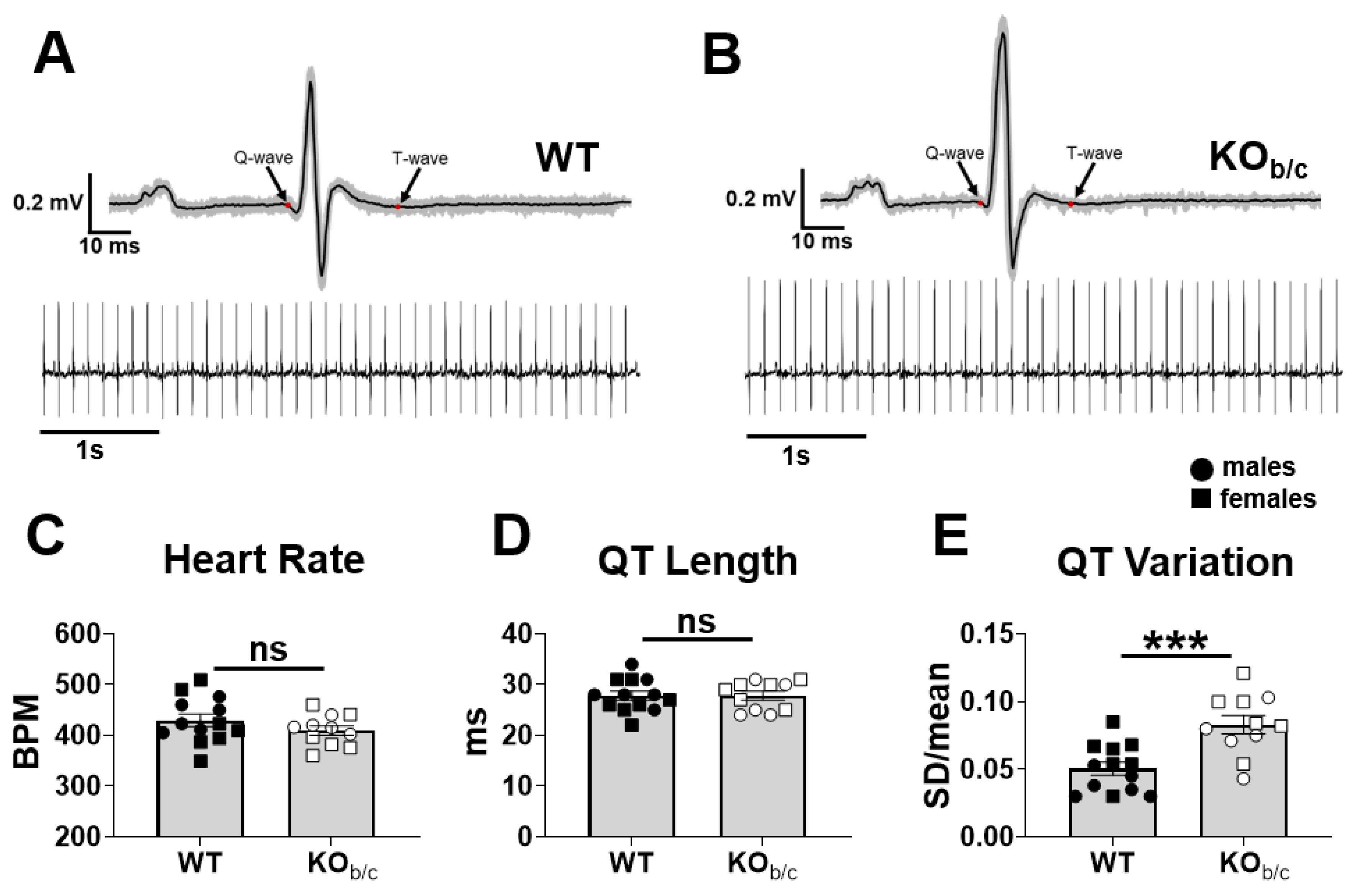 Ijms 25 09610 g007 Ijms 25 09610 g007